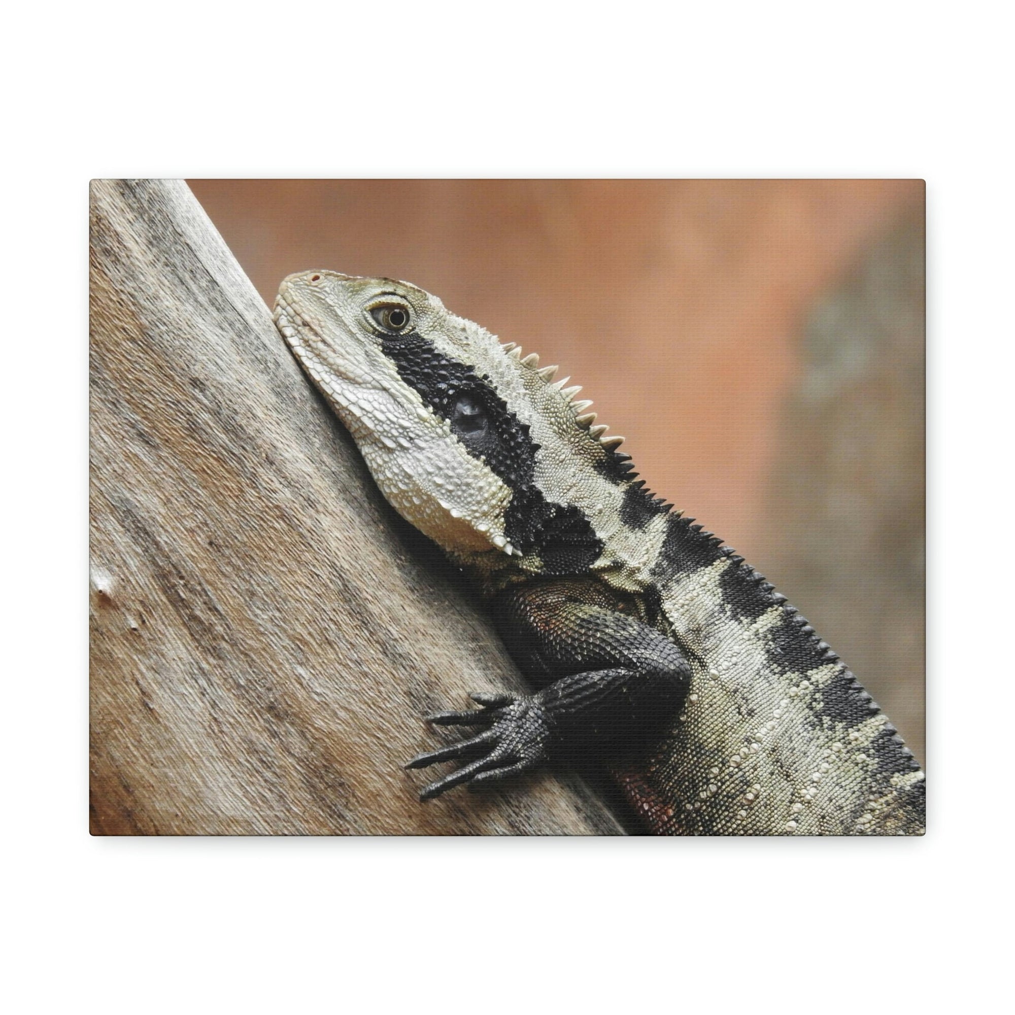 Funny Water Dragons Silly Water Dragons Scene Outside Wall Art Ready to Hang Unframed-Express Your Love Gifts