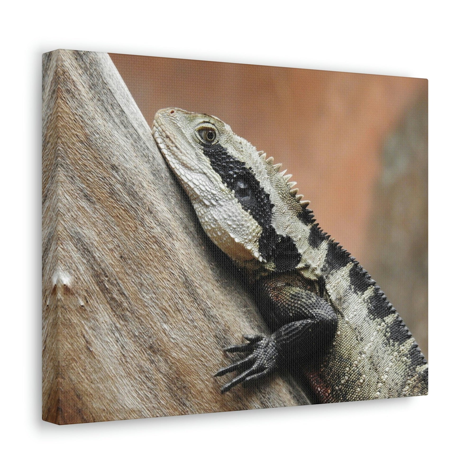 Funny Water Dragons Silly Water Dragons Scene Outside Wall Art Ready to Hang Unframed-Express Your Love Gifts