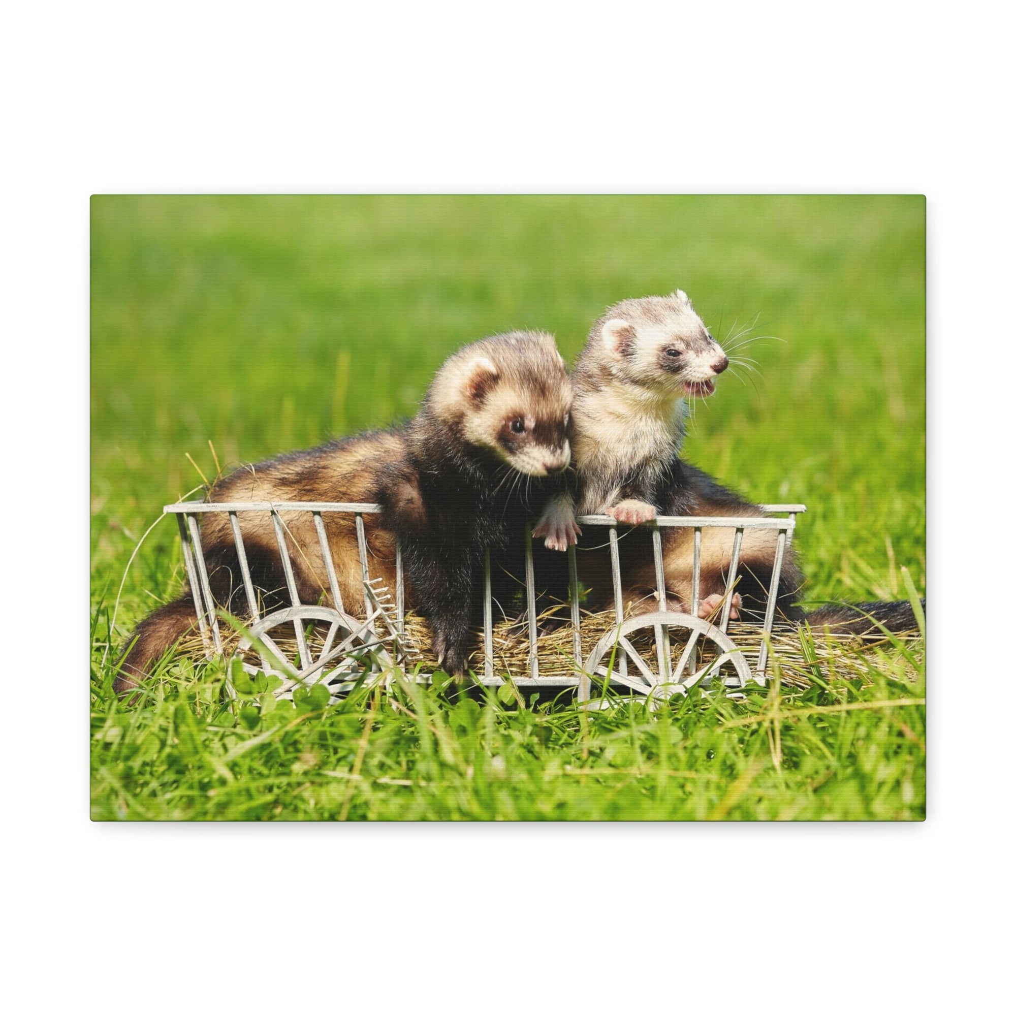 Funny Weasel Silly Weasel Couples Wall Art Ready to Hang Unframed-Express Your Love Gifts