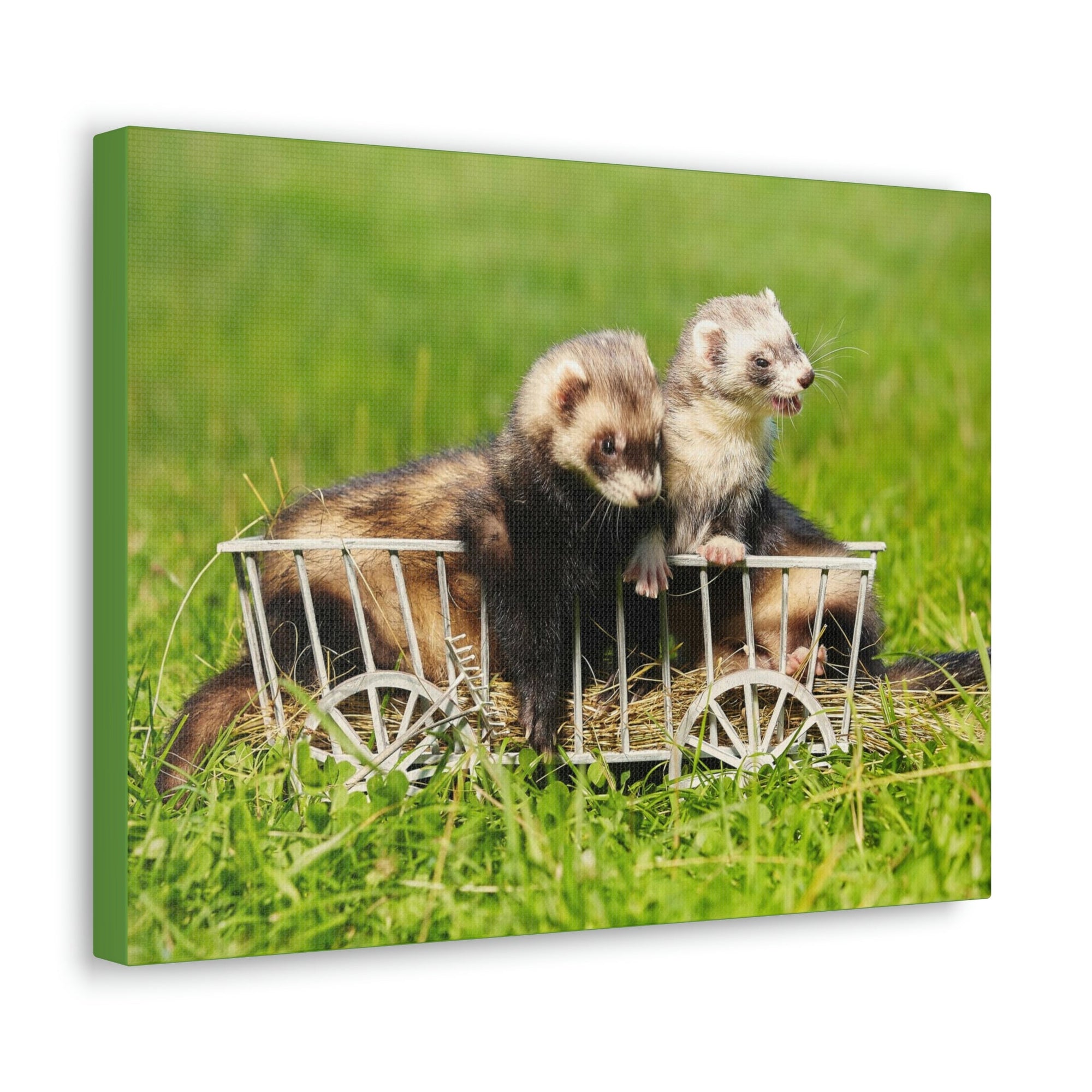 Funny Weasel Silly Weasel Couples Wall Art Ready to Hang Unframed-Express Your Love Gifts