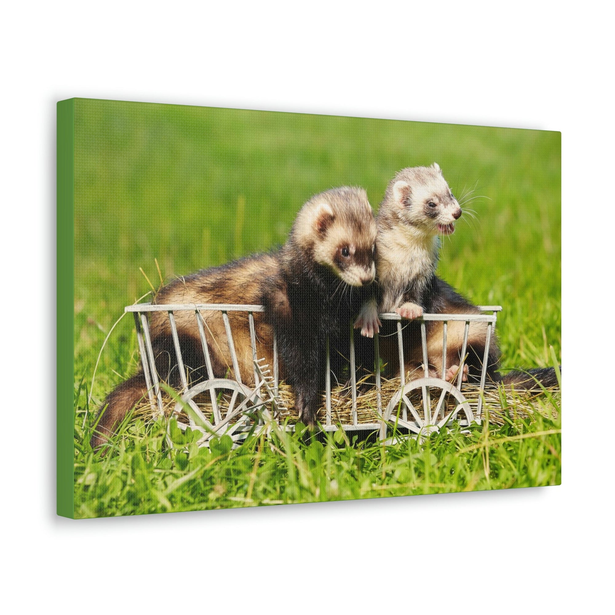 Funny Weasel Silly Weasel Couples Wall Art Ready to Hang Unframed-Express Your Love Gifts