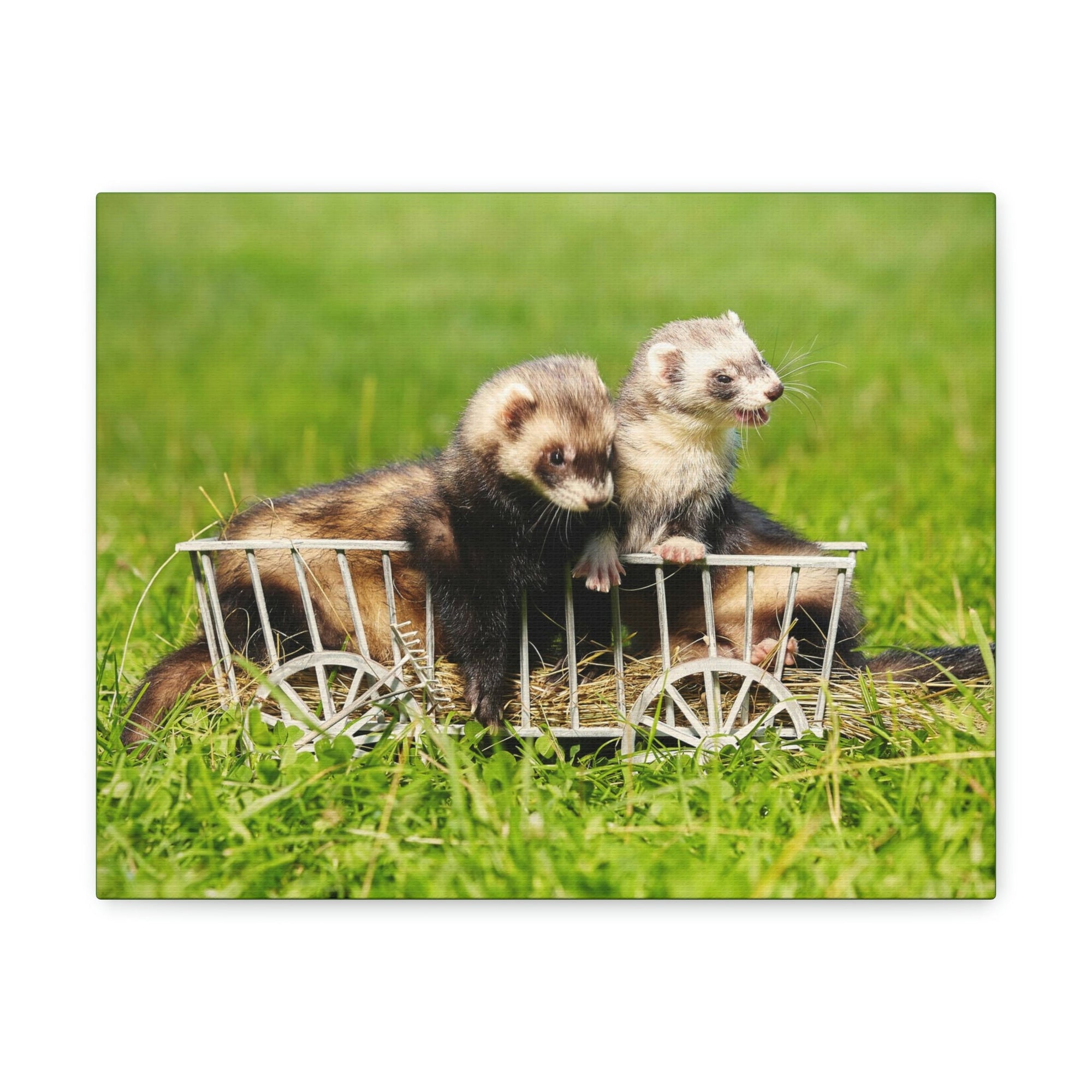 Funny Weasel Silly Weasel Couples Wall Art Ready to Hang Unframed-Express Your Love Gifts