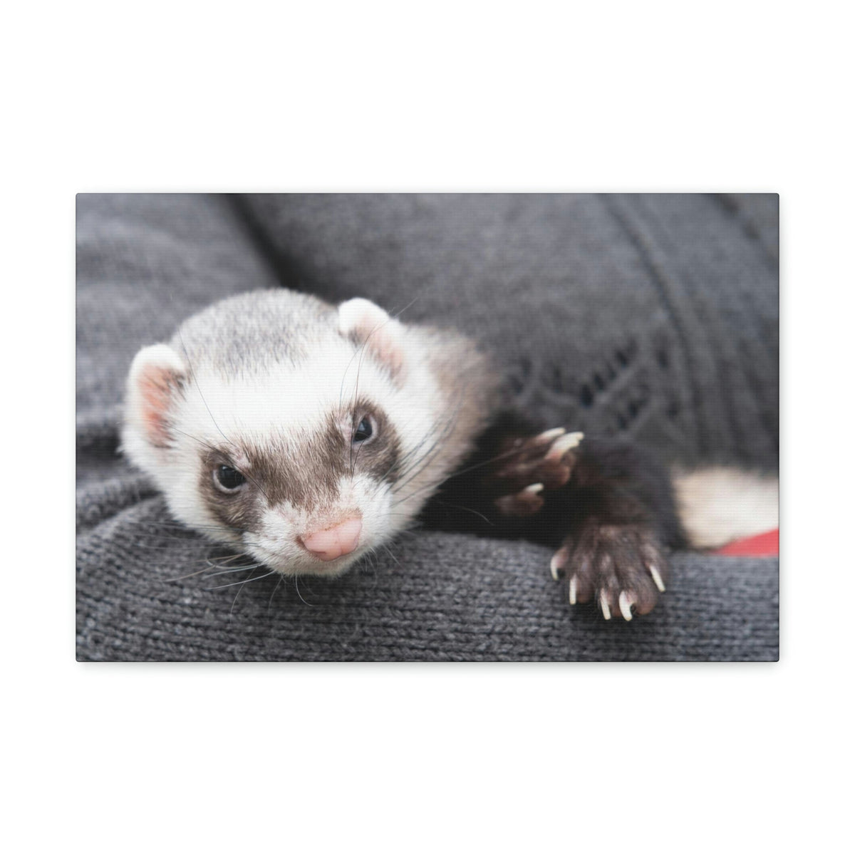 Funny Weasel Silly Weasel Scene Inside Wall Art Ready to Hang Unframed-Express Your Love Gifts