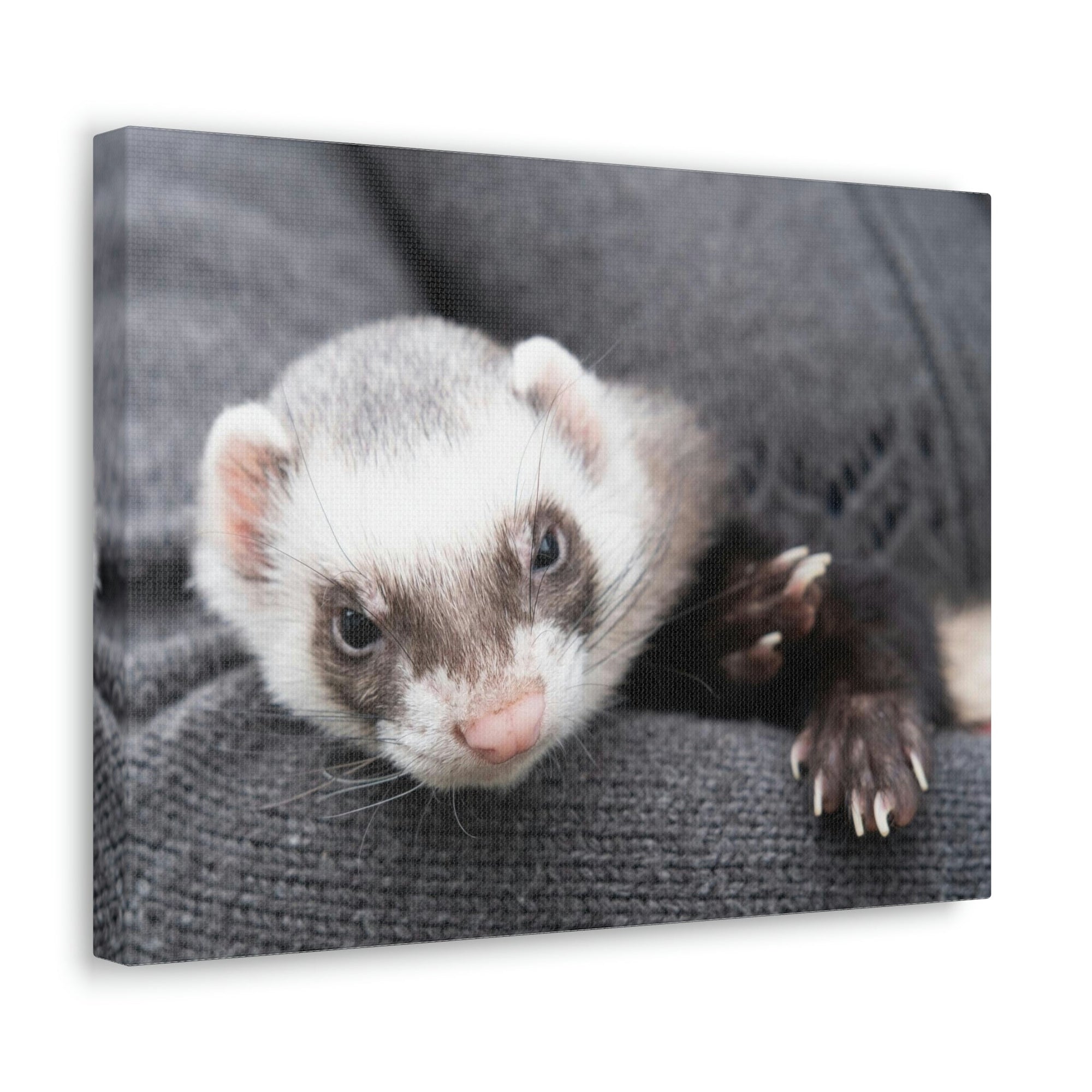 Funny Weasel Silly Weasel Scene Inside Wall Art Ready to Hang Unframed-Express Your Love Gifts