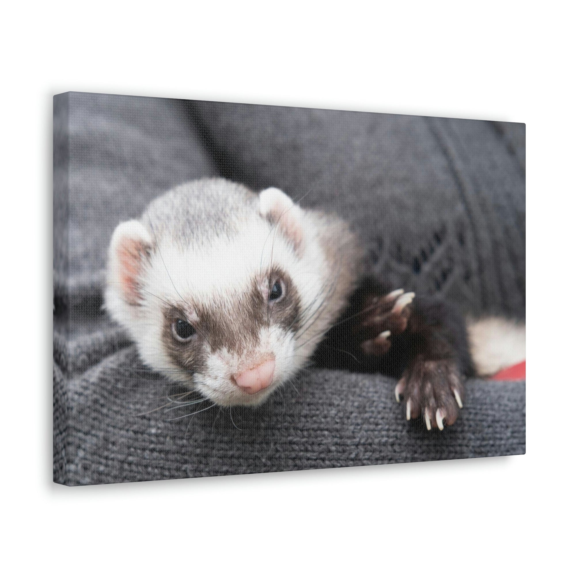 Funny Weasel Silly Weasel Scene Inside Wall Art Ready to Hang Unframed-Express Your Love Gifts