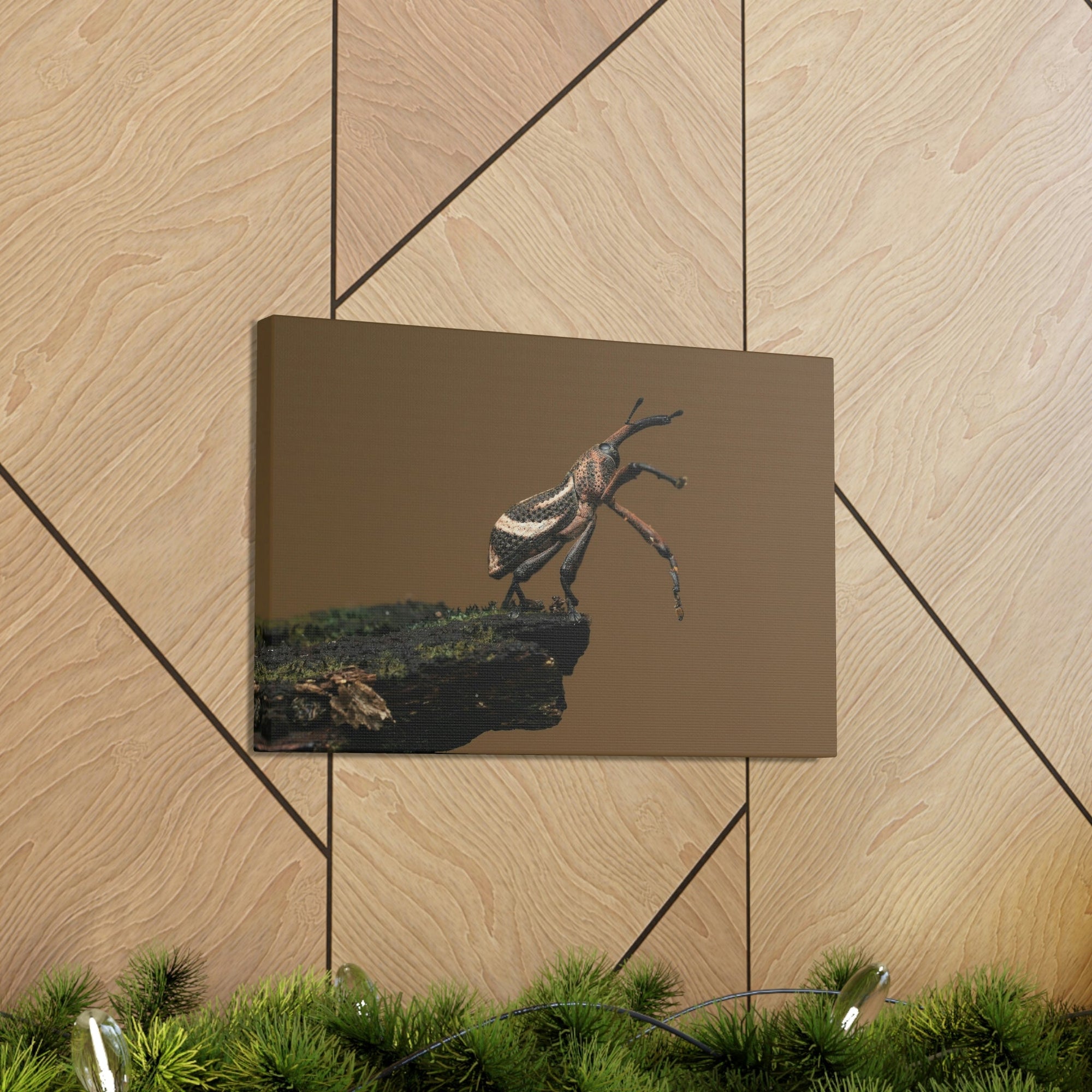 Funny Weevil Silly Weevil Scene Outside Wall Art Ready to Hang Unframed-Express Your Love Gifts