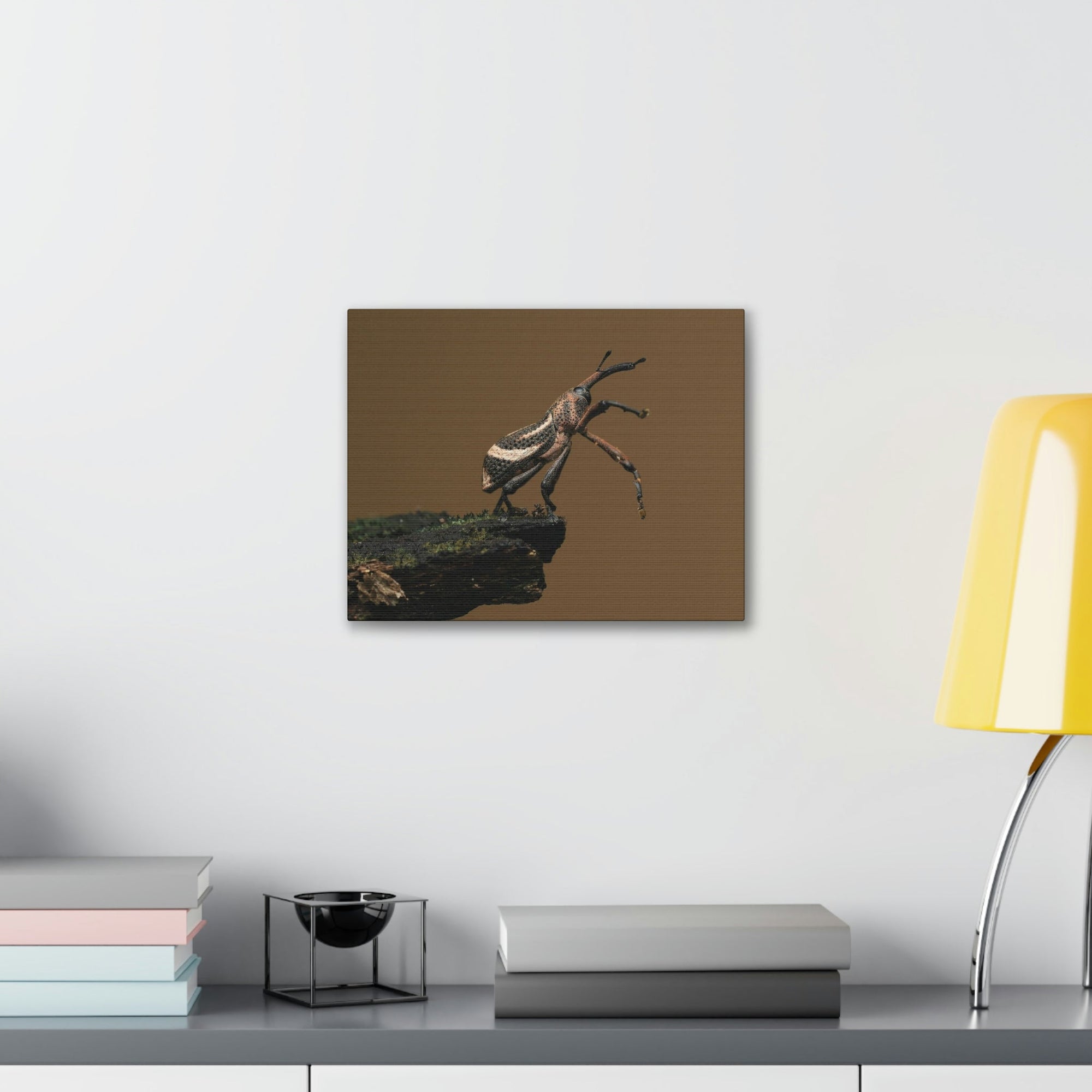 Funny Weevil Silly Weevil Scene Outside Wall Art Ready to Hang Unframed-Express Your Love Gifts