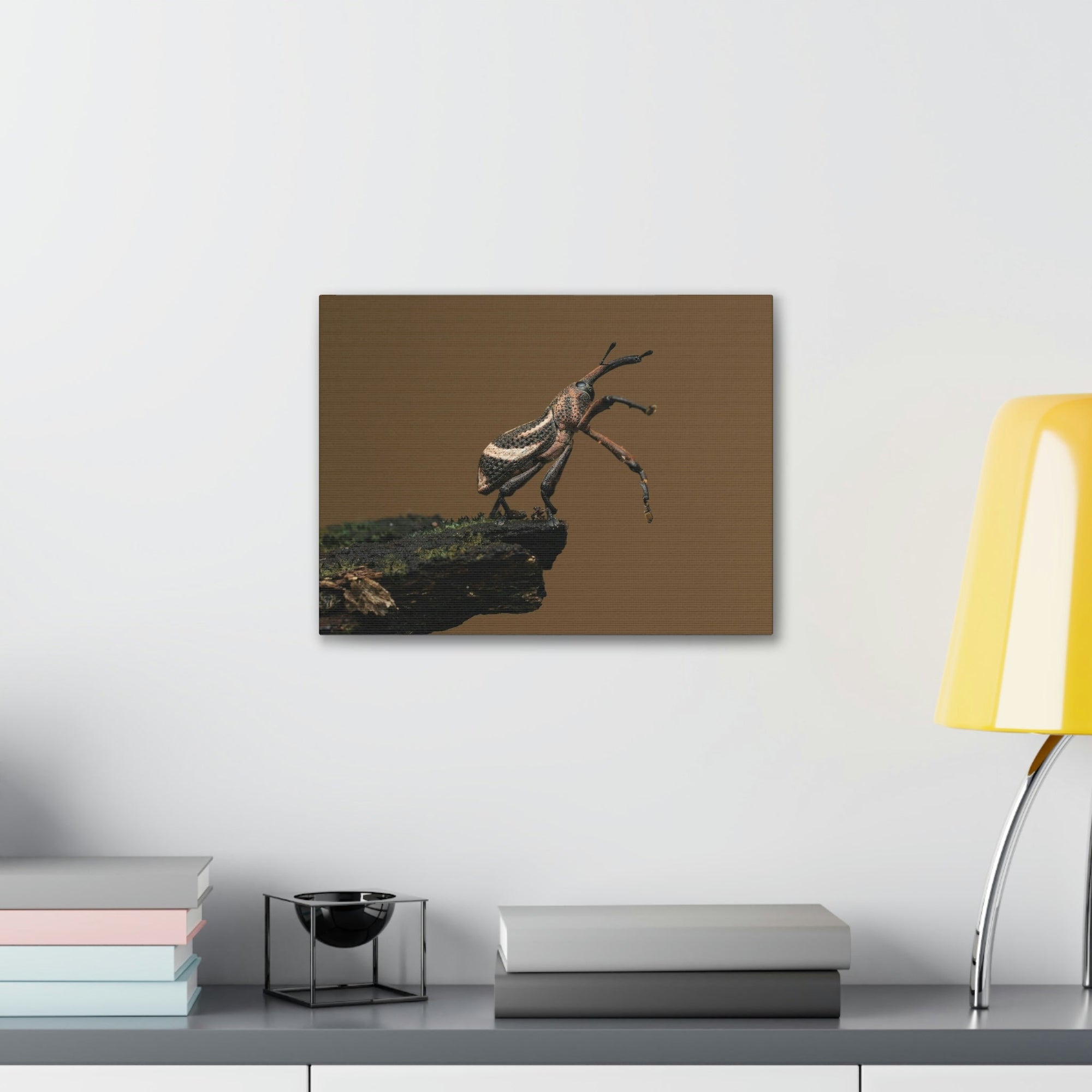 Funny Weevil Silly Weevil Scene Outside Wall Art Ready to Hang Unframed-Express Your Love Gifts