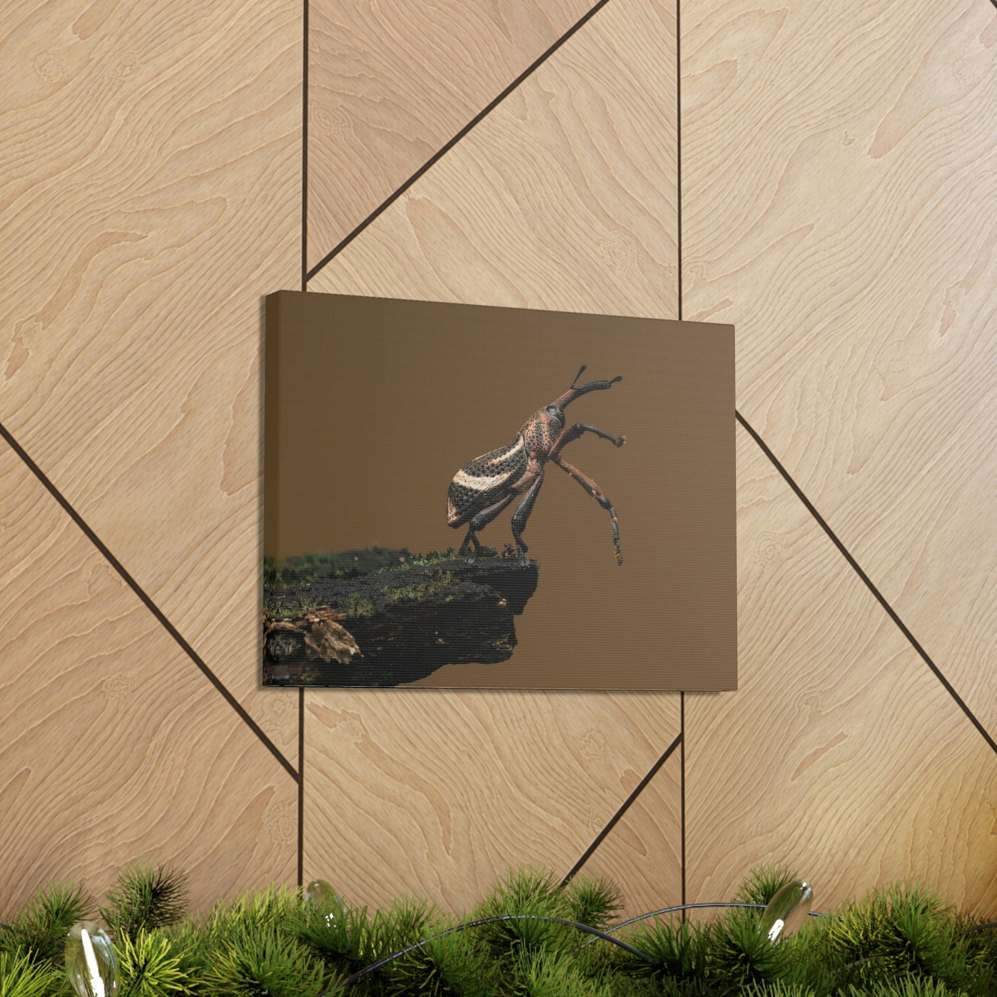 Funny Weevil Silly Weevil Scene Outside Wall Art Ready to Hang Unframed-Express Your Love Gifts