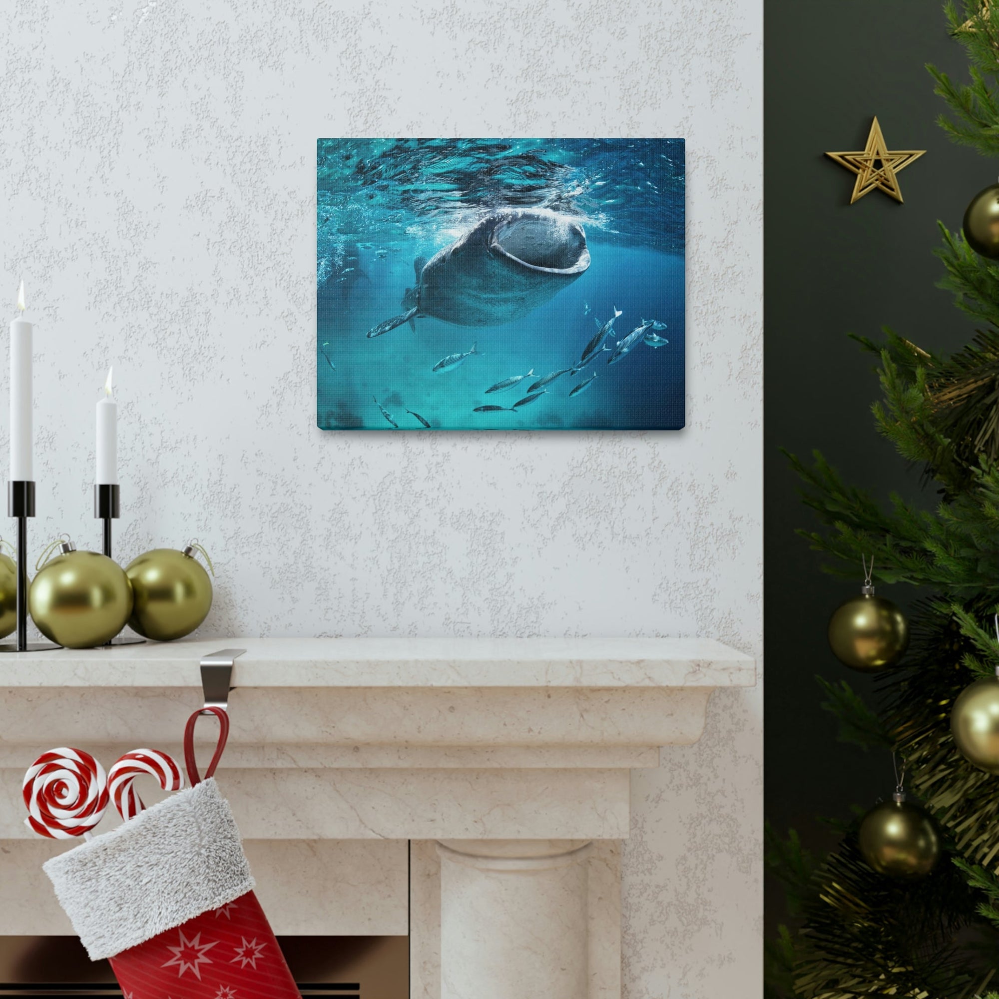 Funny Whale Shark Silly Whale Shark Scene Outside Wall Art Ready to Hang Unframed-Express Your Love Gifts