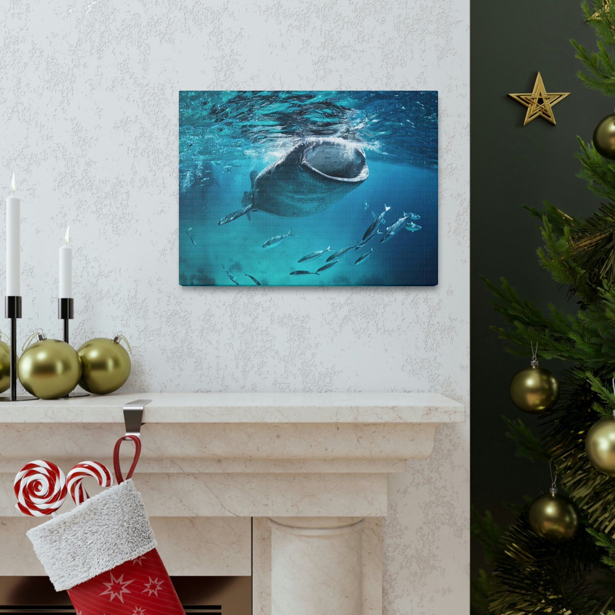 Funny Whale Shark Silly Whale Shark Scene Outside Wall Art Ready to Hang Unframed-Express Your Love Gifts