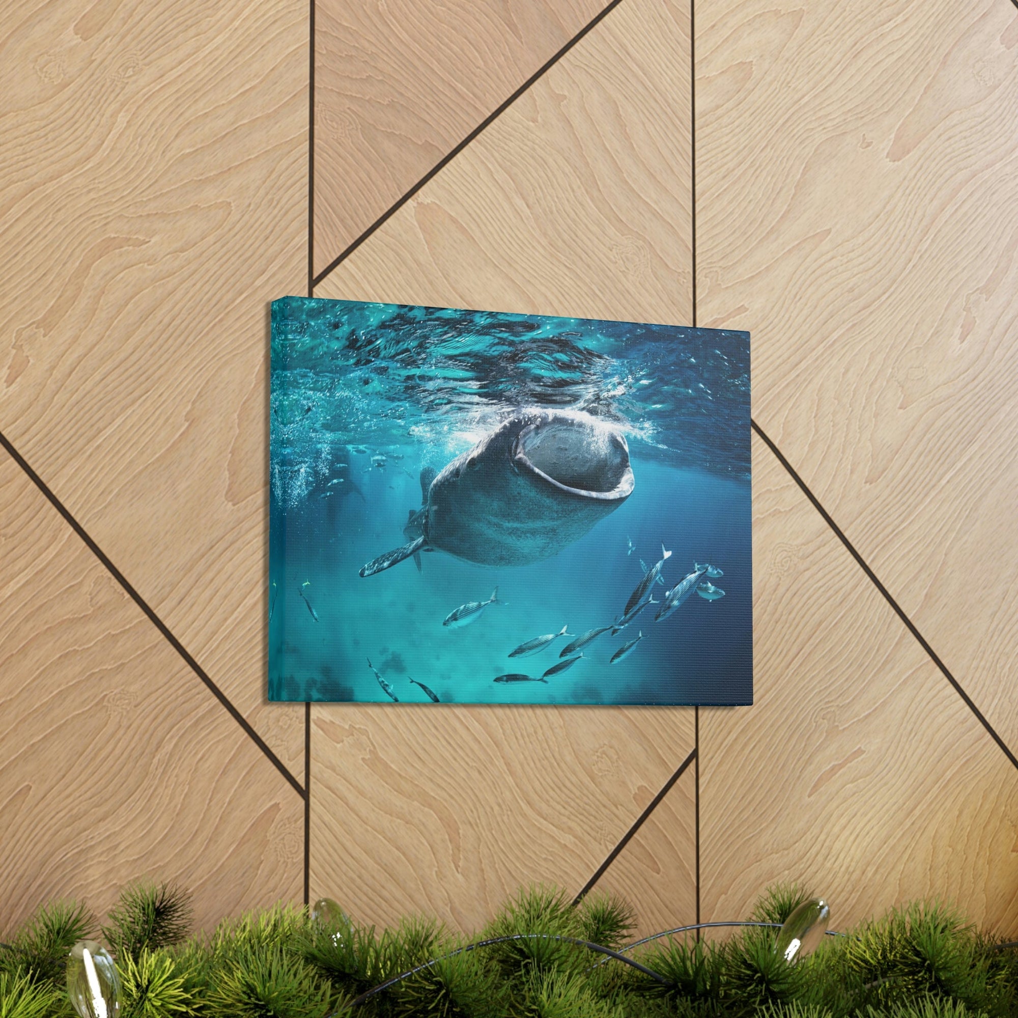 Funny Whale Shark Silly Whale Shark Scene Outside Wall Art Ready to Hang Unframed-Express Your Love Gifts