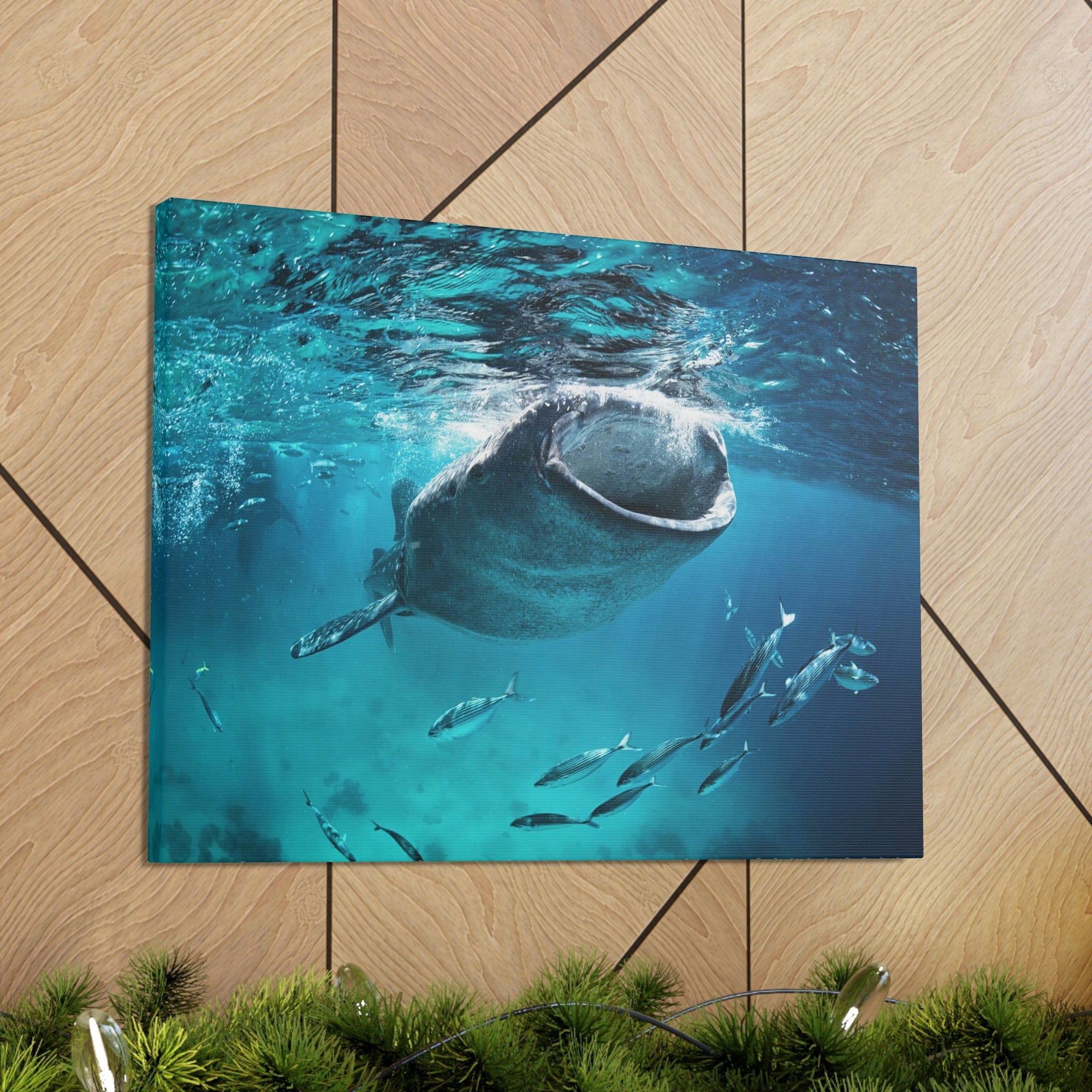 Funny Whale Shark Silly Whale Shark Scene Outside Wall Art Ready to Hang Unframed-Express Your Love Gifts