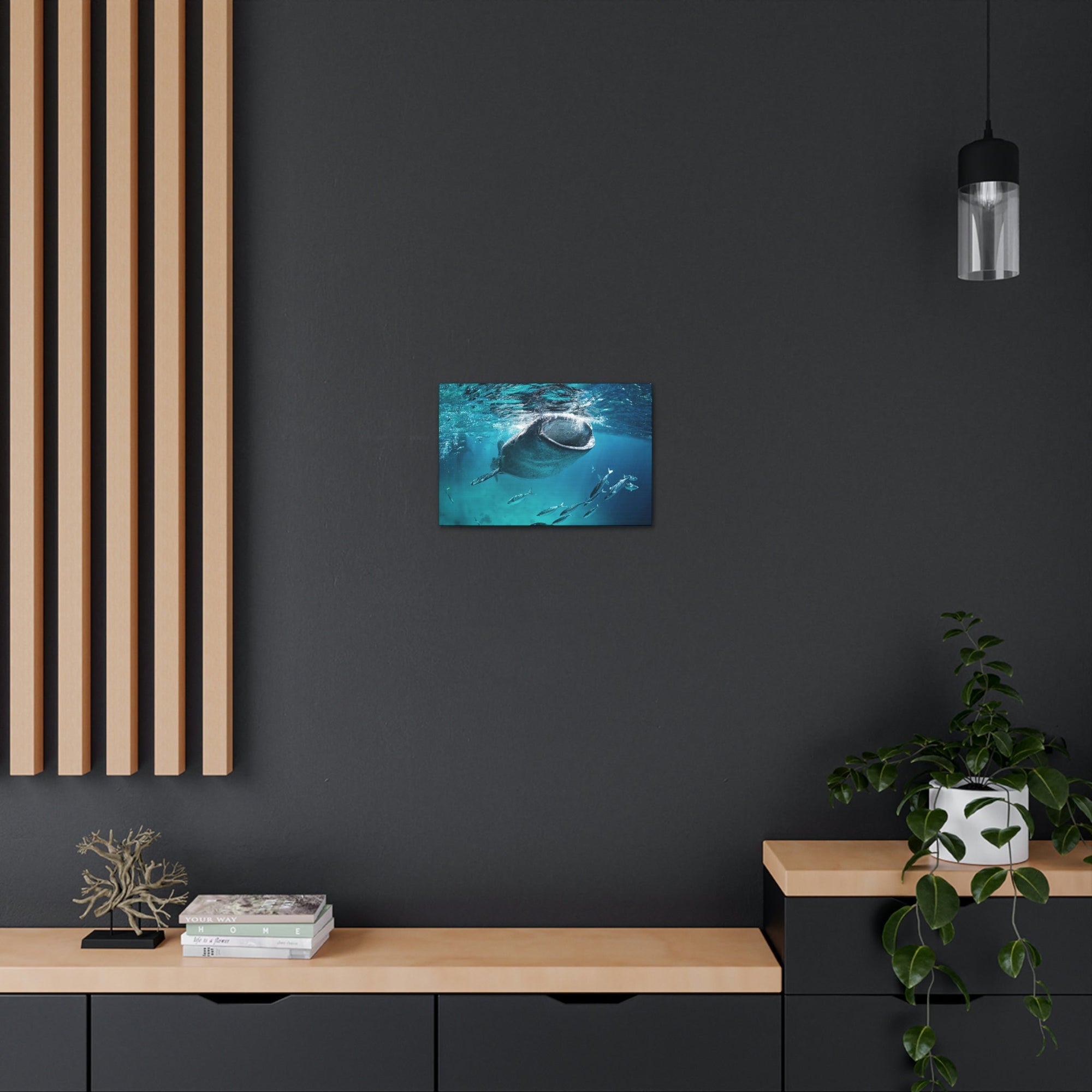 Funny Whale Shark Silly Whale Shark Scene Outside Wall Art Ready to Hang Unframed-Express Your Love Gifts