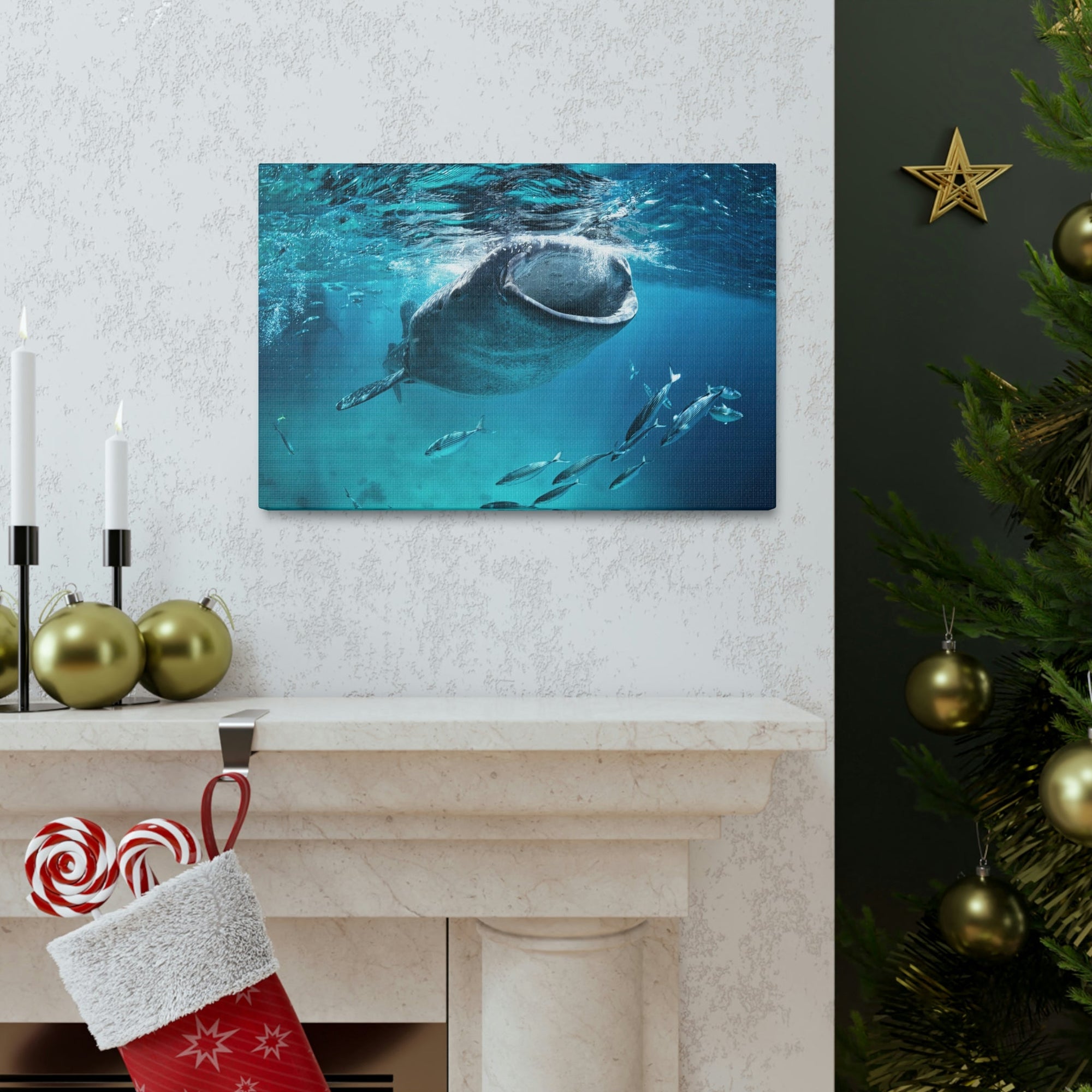 Funny Whale Shark Silly Whale Shark Scene Outside Wall Art Ready to Hang Unframed-Express Your Love Gifts