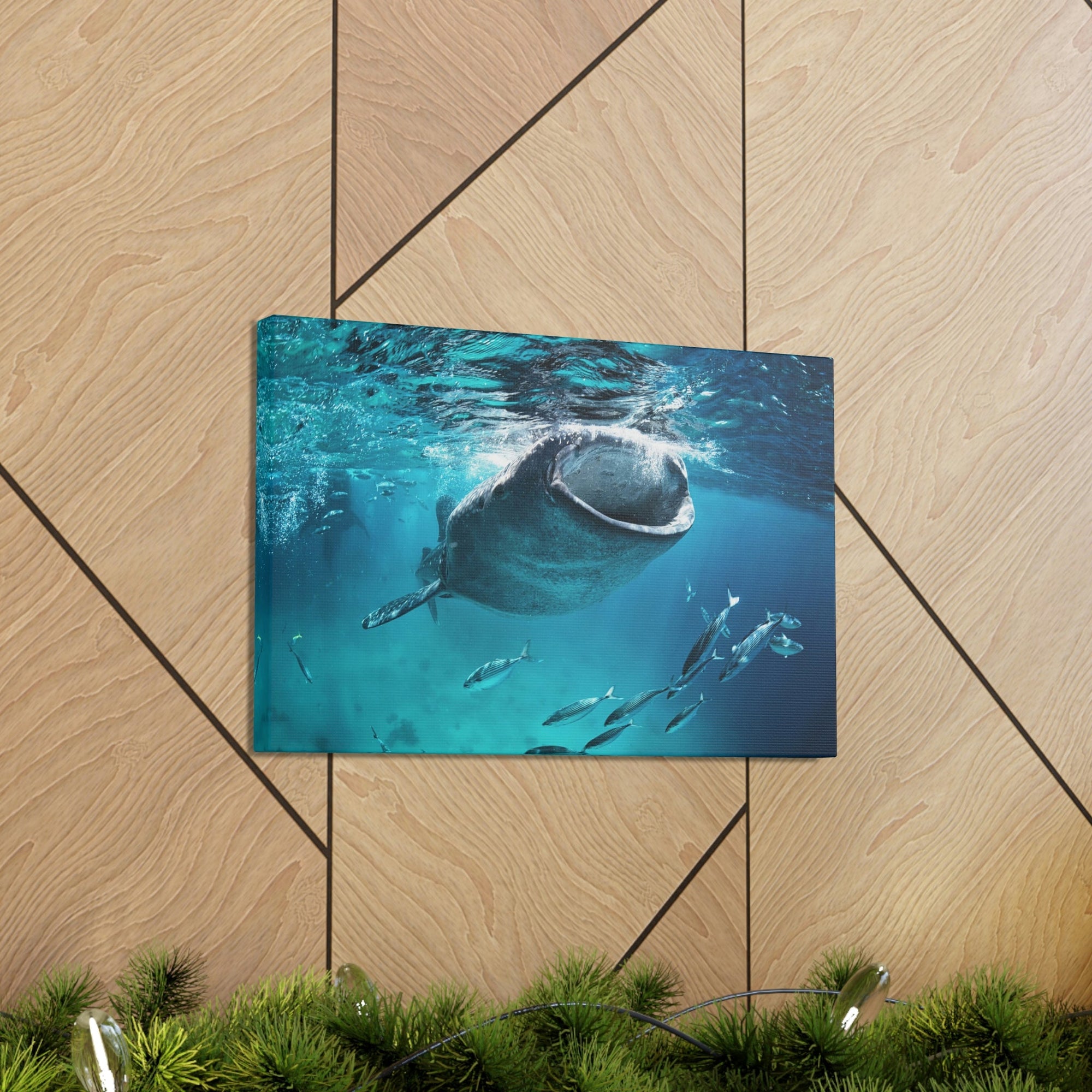 Funny Whale Shark Silly Whale Shark Scene Outside Wall Art Ready to Hang Unframed-Express Your Love Gifts