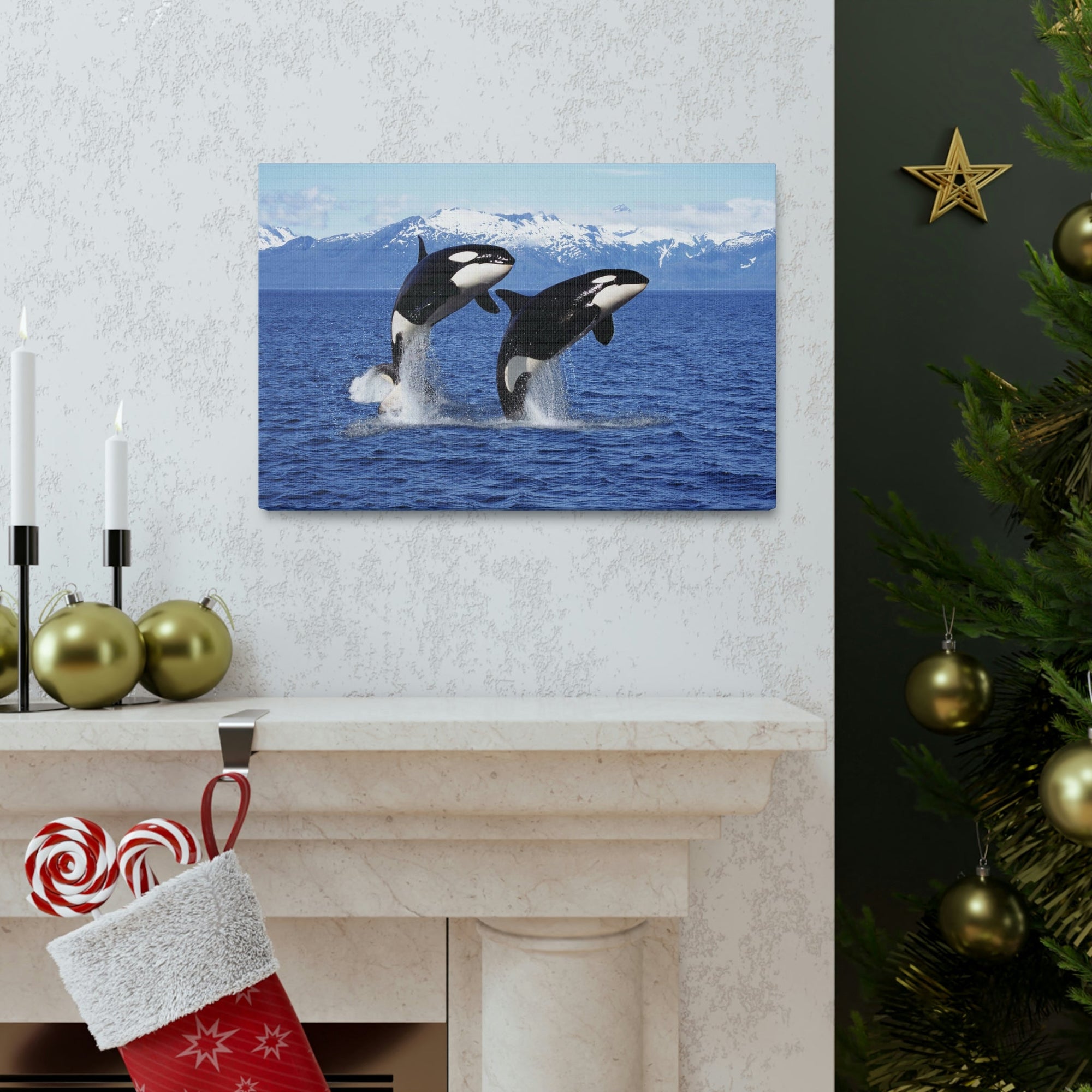 Funny Whale Silly Whale Scene Couple Wall Art Ready to Hang Unframed-Express Your Love Gifts