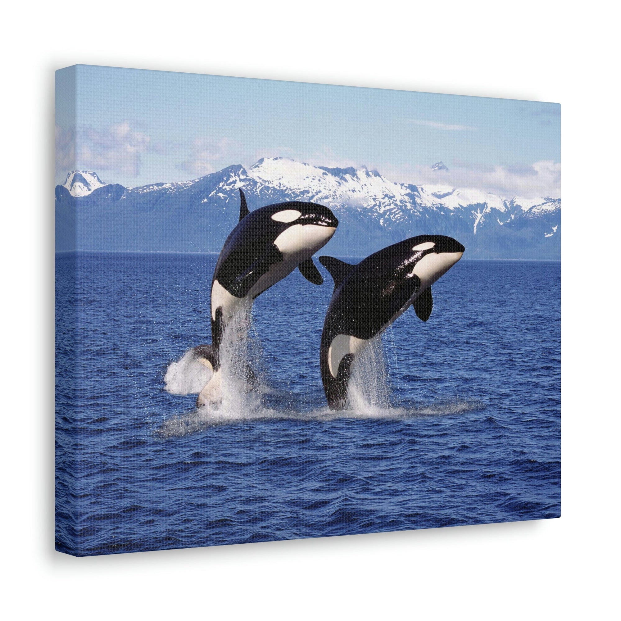 Funny Whale Silly Whale Scene Couple Wall Art Ready to Hang Unframed-Express Your Love Gifts