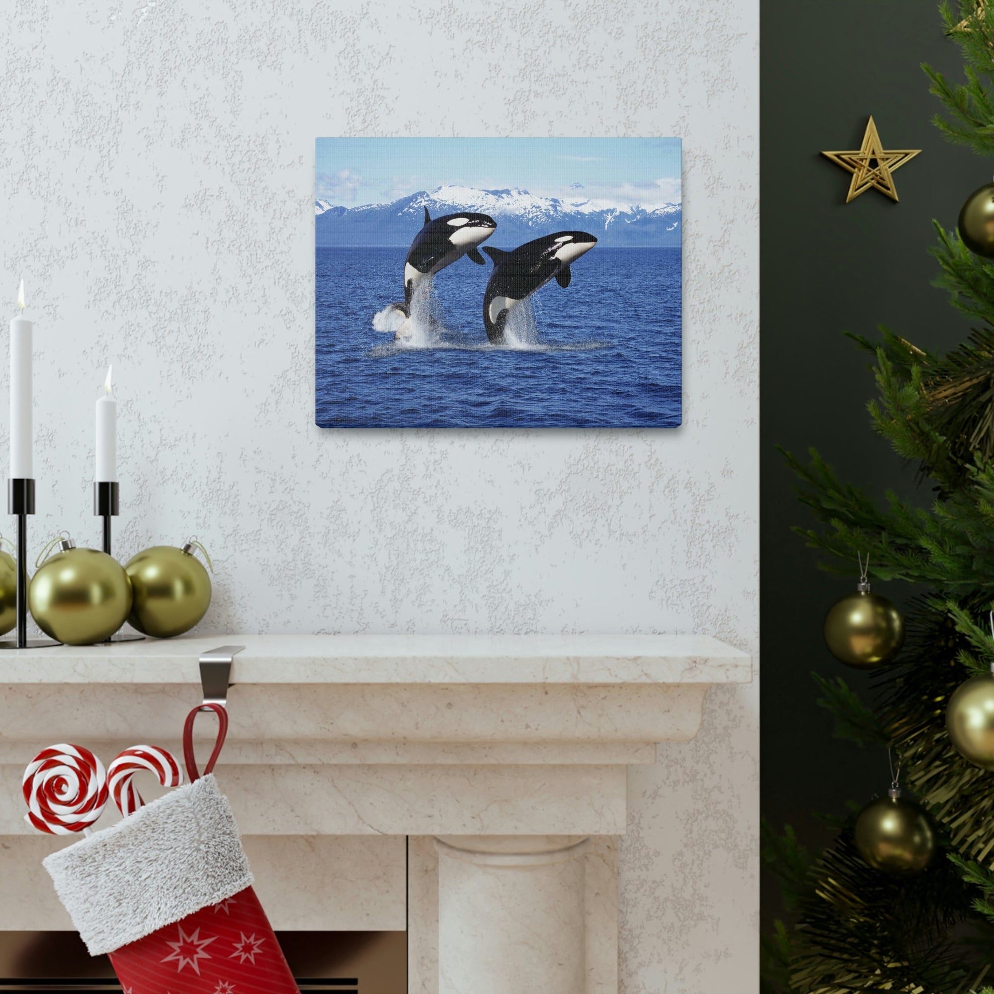 Funny Whale Silly Whale Scene Couple Wall Art Ready to Hang Unframed-Express Your Love Gifts