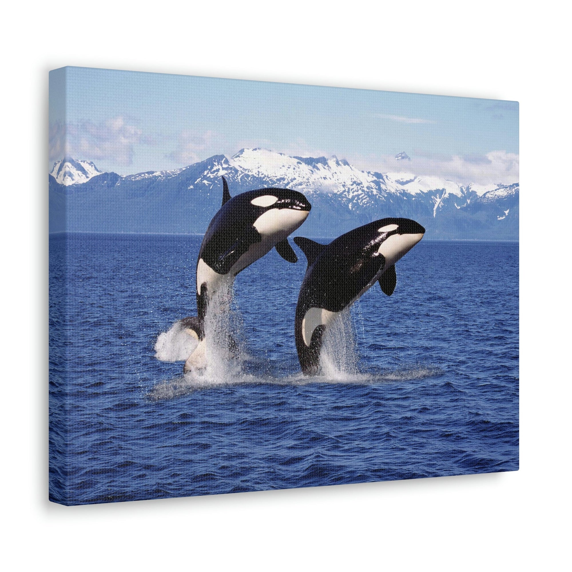 Funny Whale Silly Whale Scene Couple Wall Art Ready to Hang Unframed-Express Your Love Gifts