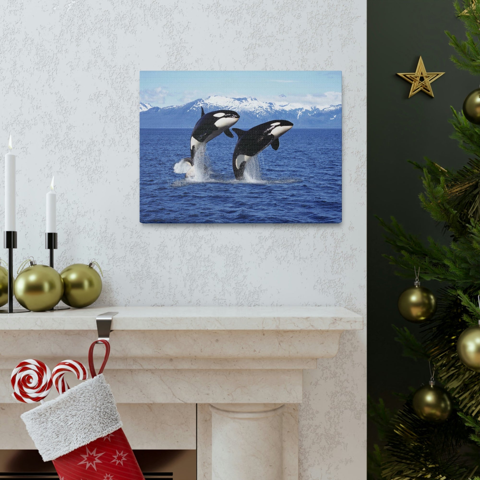 Funny Whale Silly Whale Scene Couple Wall Art Ready to Hang Unframed-Express Your Love Gifts