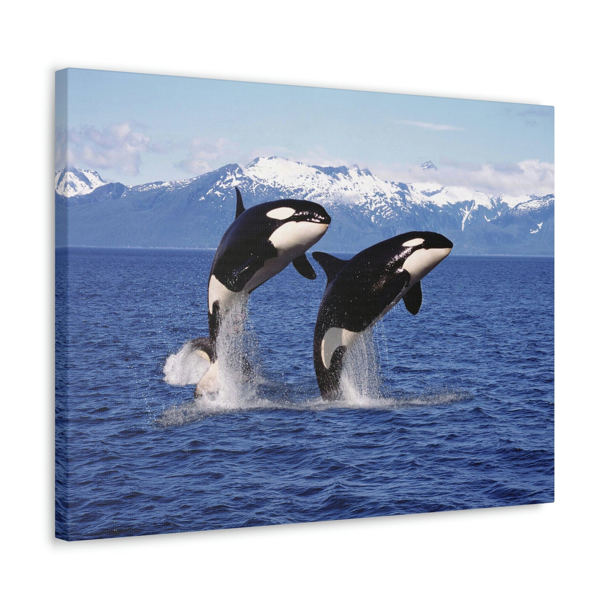 Funny Whale Silly Whale Scene Couple Wall Art Ready to Hang Unframed-Express Your Love Gifts