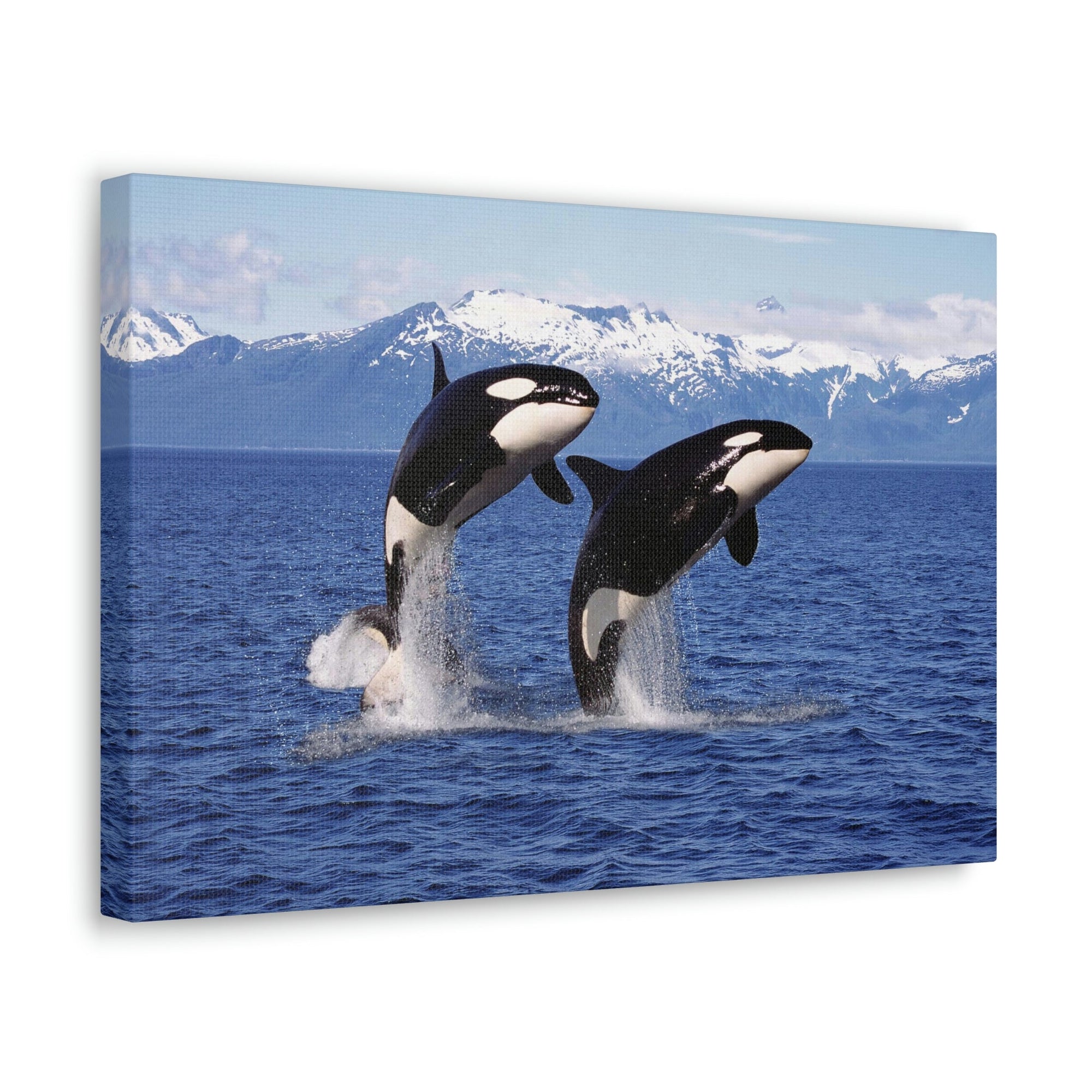 Funny Whale Silly Whale Scene Couple Wall Art Ready to Hang Unframed-Express Your Love Gifts