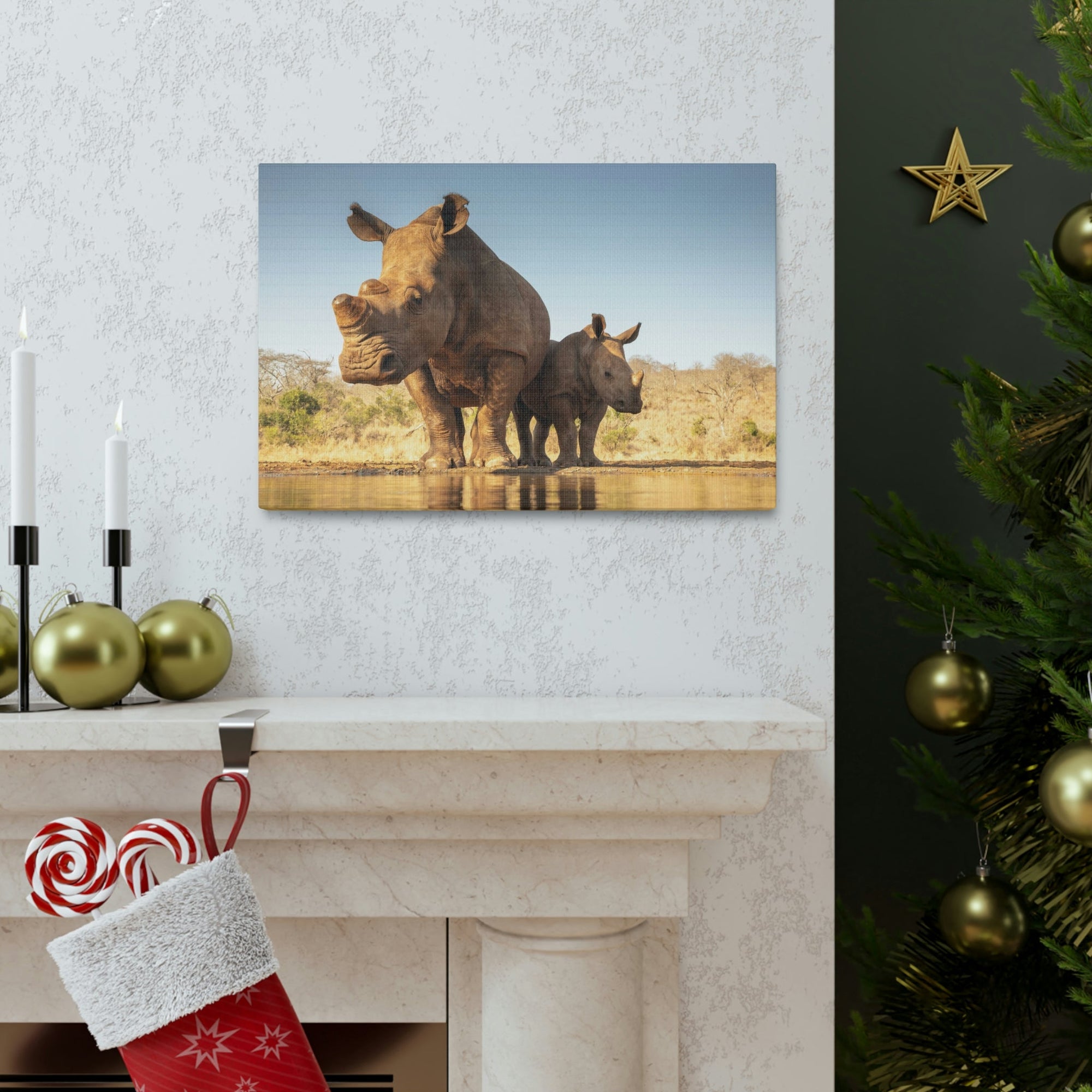 Funny White Rhino Silly White Rhino Scene Couple Wall Art Ready to Hang Unframed-Express Your Love Gifts