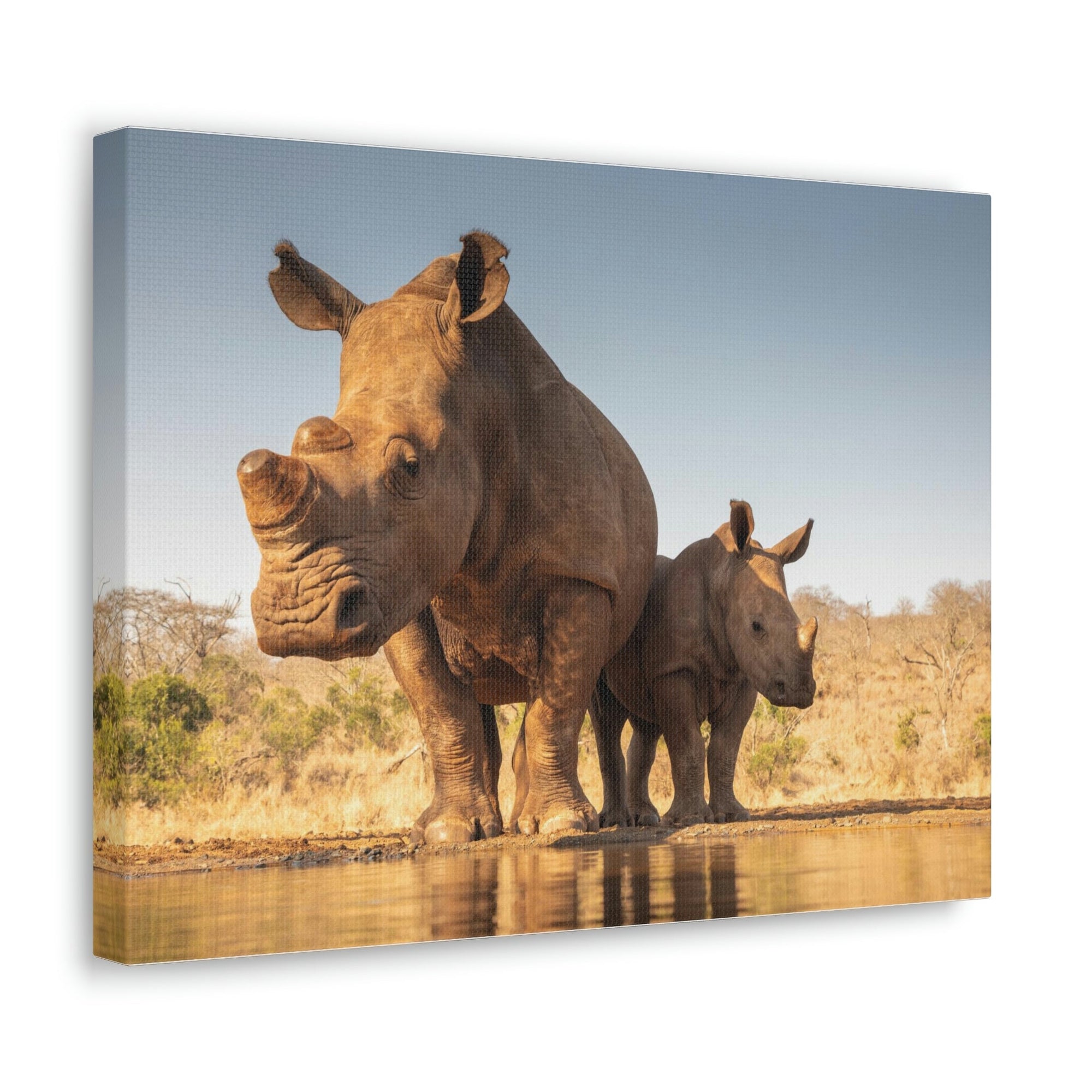 Funny White Rhino Silly White Rhino Scene Couple Wall Art Ready to Hang Unframed-Express Your Love Gifts