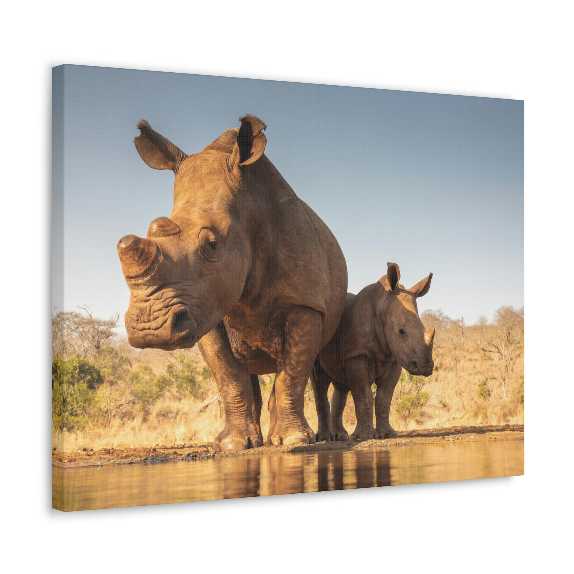 Funny White Rhino Silly White Rhino Scene Couple Wall Art Ready to Hang Unframed-Express Your Love Gifts