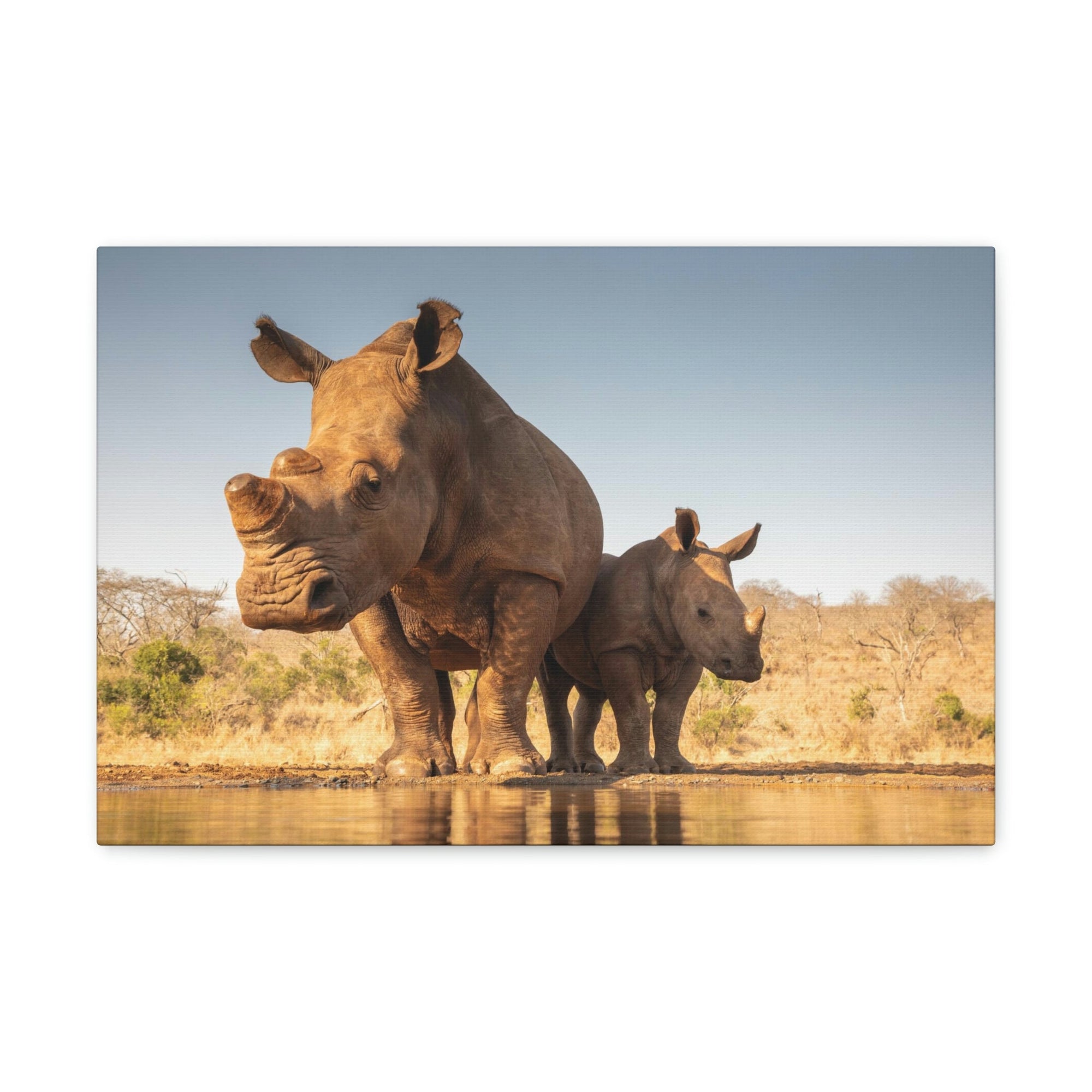 Funny White Rhino Silly White Rhino Scene Couple Wall Art Ready to Hang Unframed-Express Your Love Gifts