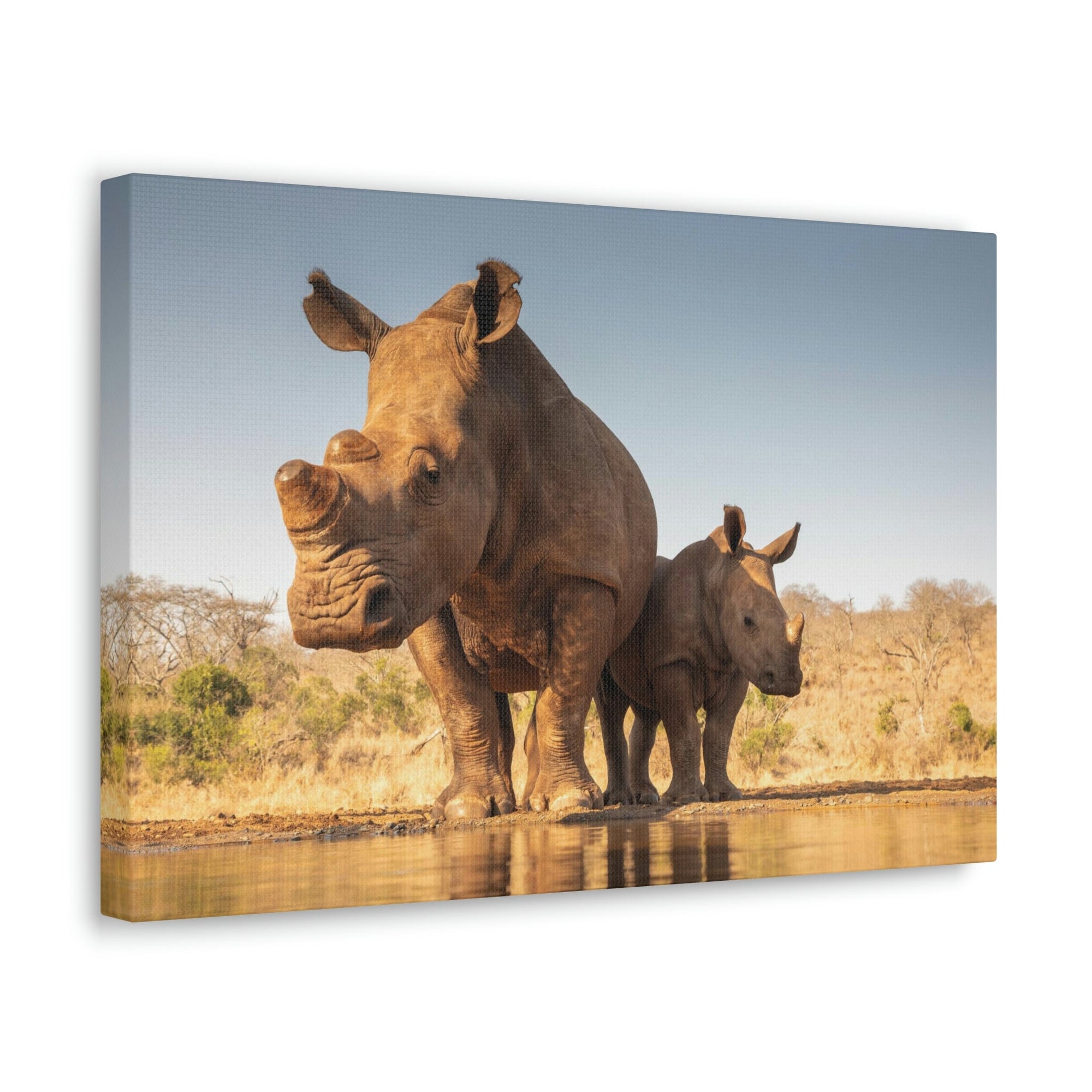 Funny White Rhino Silly White Rhino Scene Couple Wall Art Ready to Hang Unframed-Express Your Love Gifts