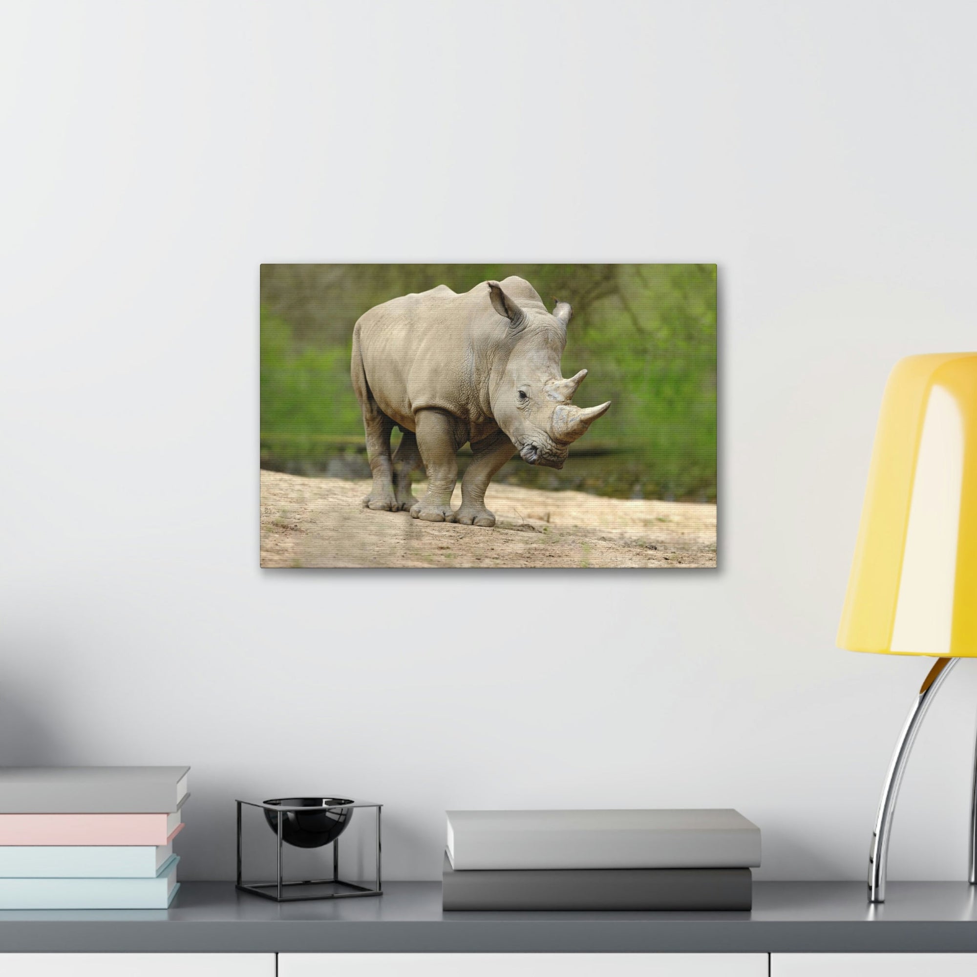 Funny White Rhino Silly White Rhino Scene Outside Wall Art Ready to Hang Unframed-Express Your Love Gifts