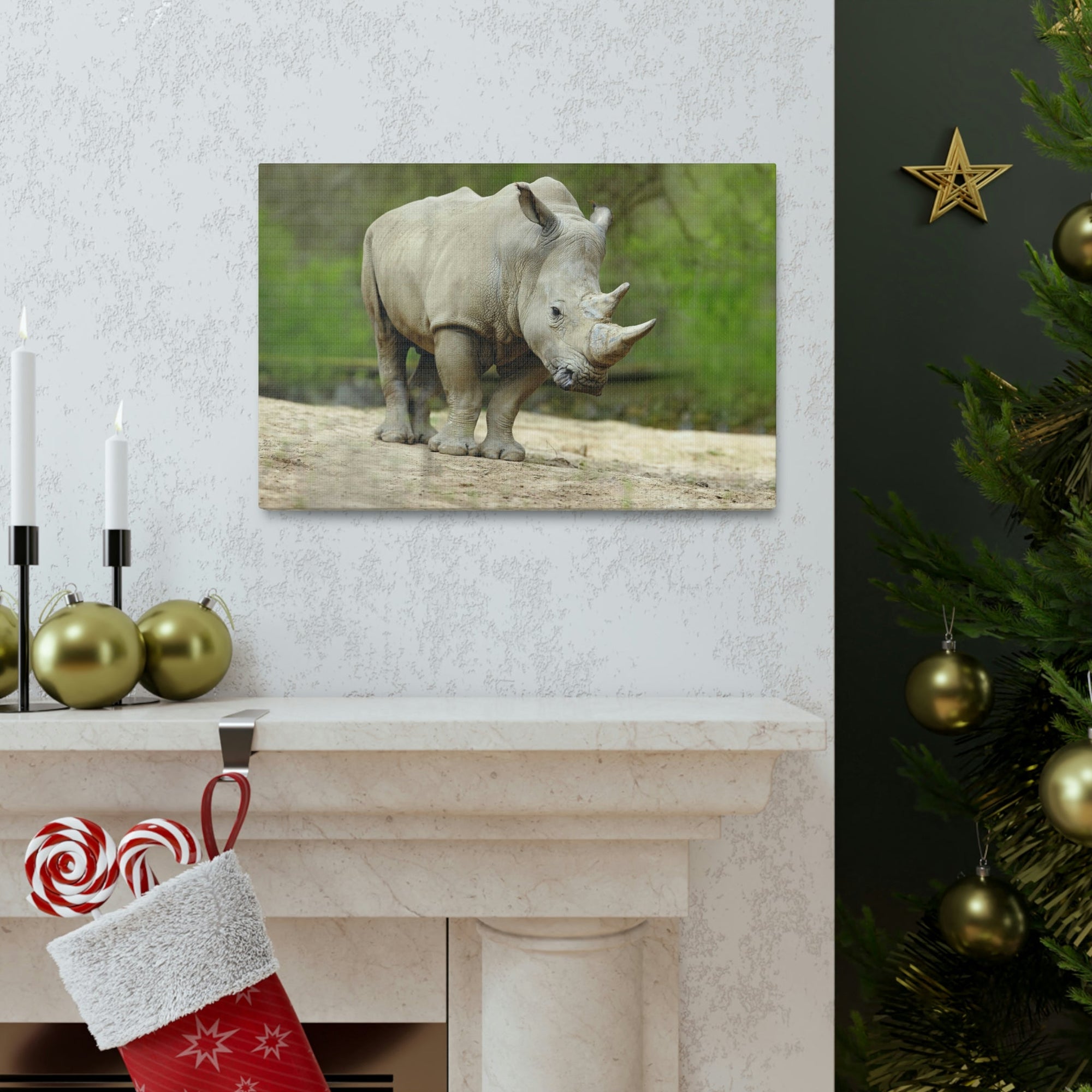 Funny White Rhino Silly White Rhino Scene Outside Wall Art Ready to Hang Unframed-Express Your Love Gifts