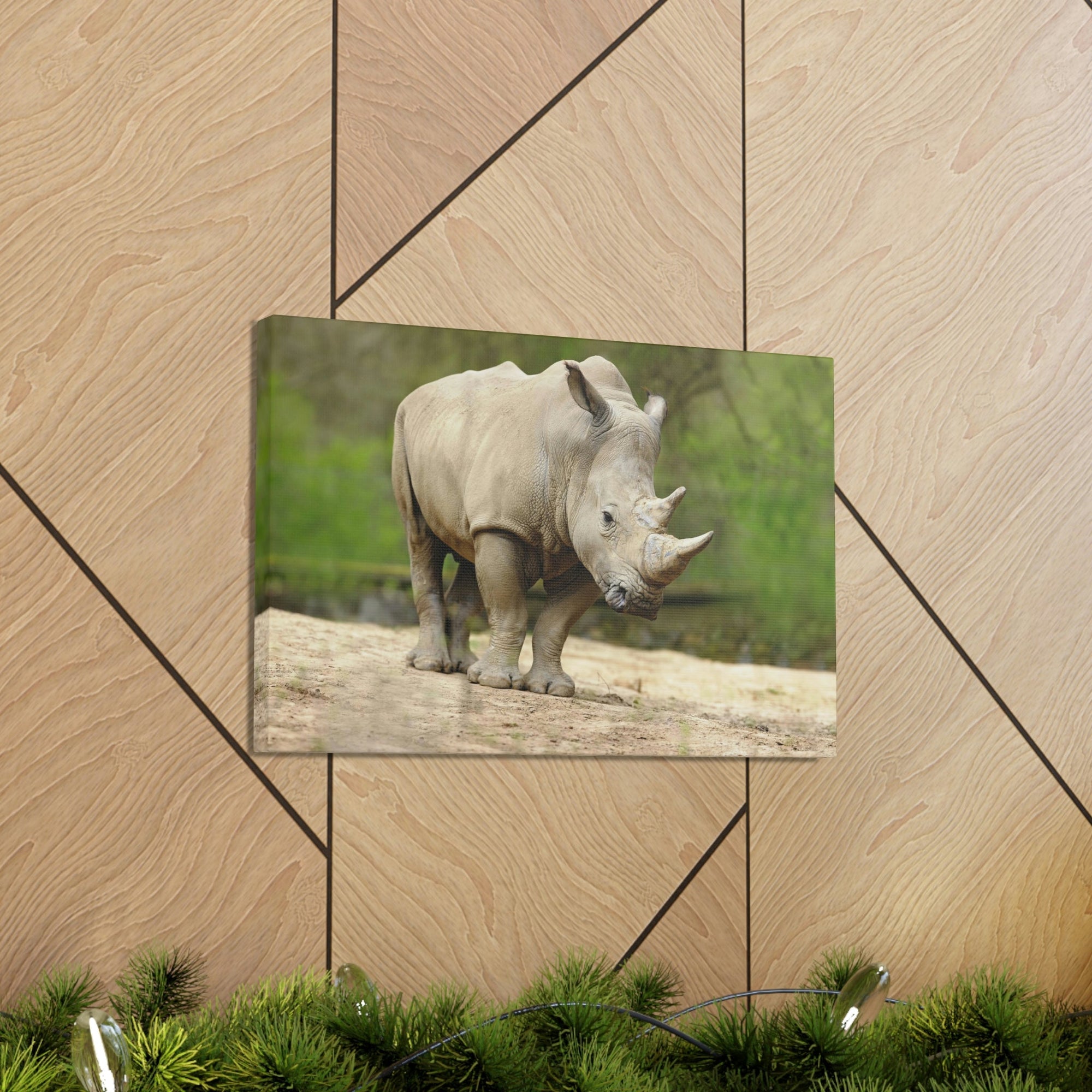 Funny White Rhino Silly White Rhino Scene Outside Wall Art Ready to Hang Unframed-Express Your Love Gifts