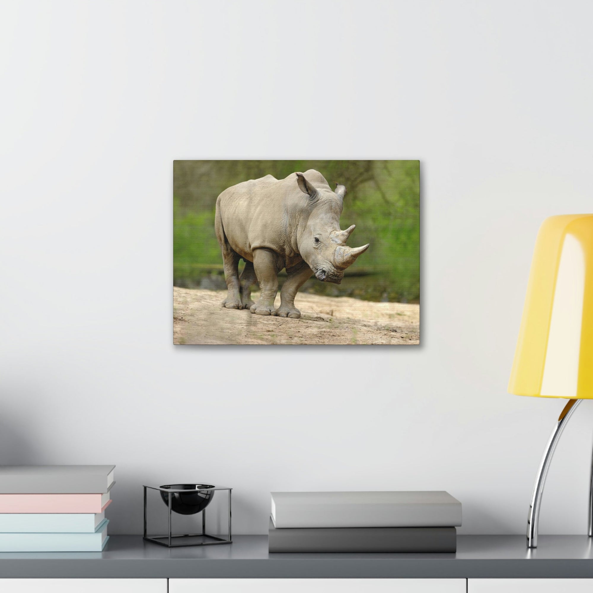 Funny White Rhino Silly White Rhino Scene Outside Wall Art Ready to Hang Unframed-Express Your Love Gifts