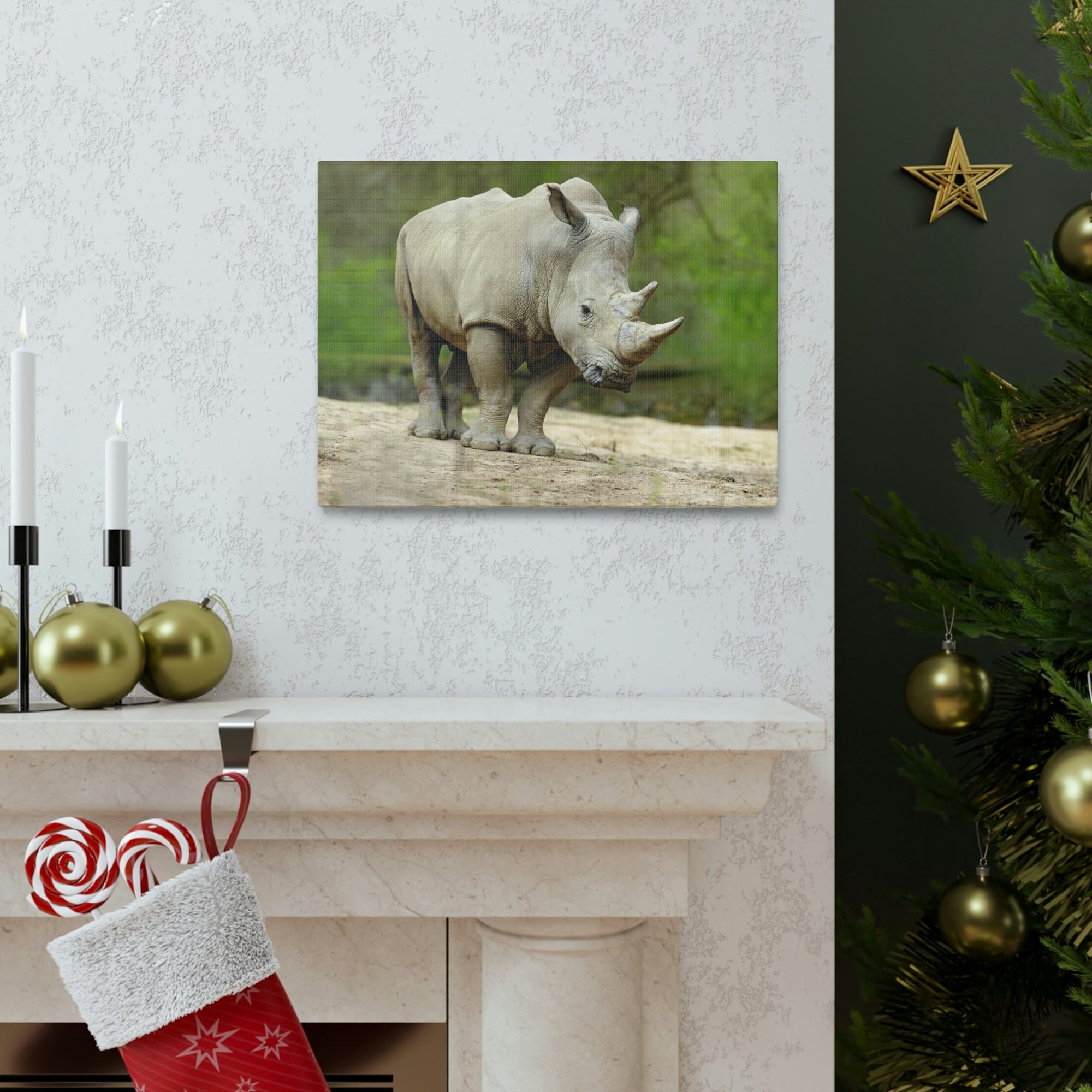 Funny White Rhino Silly White Rhino Scene Outside Wall Art Ready to Hang Unframed-Express Your Love Gifts