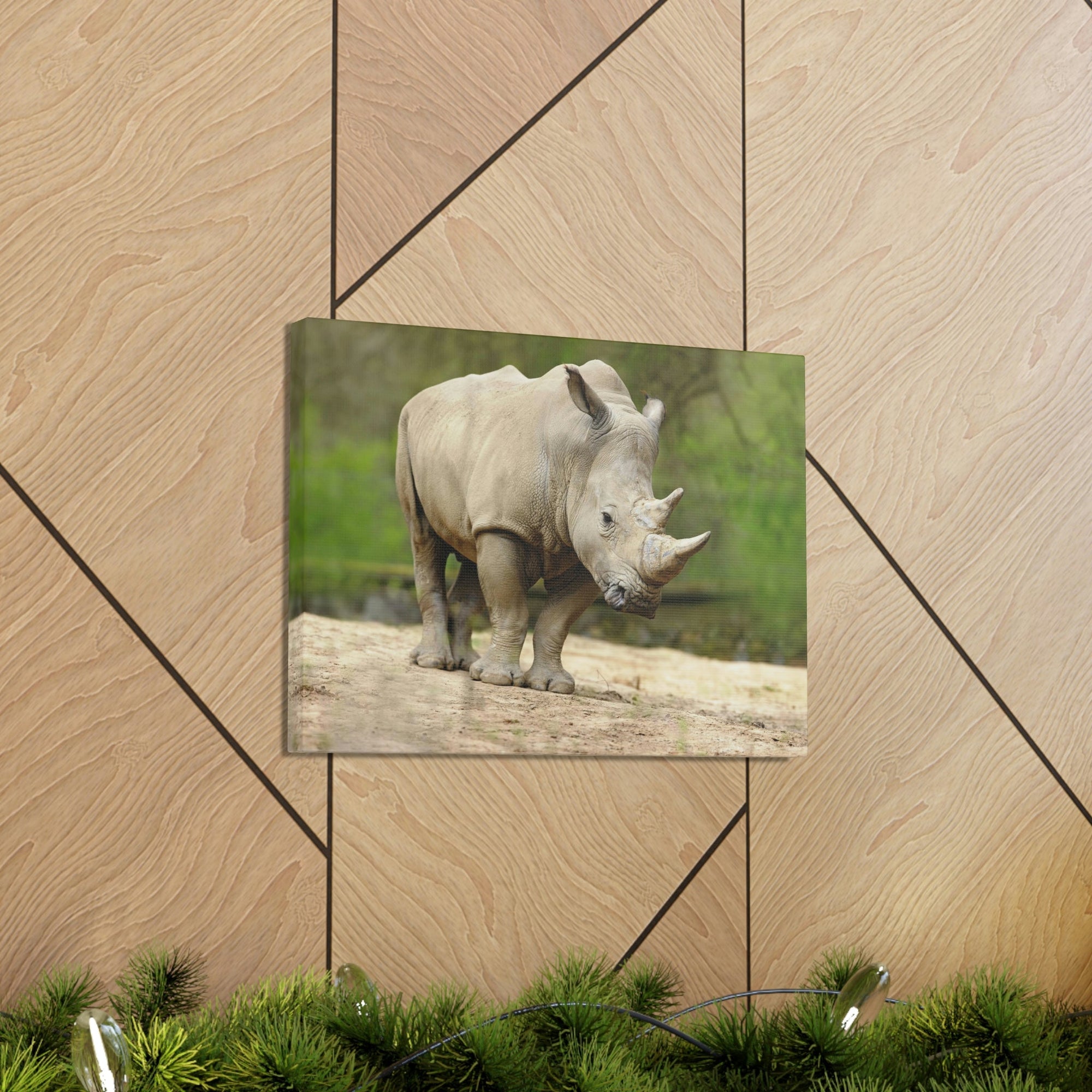 Funny White Rhino Silly White Rhino Scene Outside Wall Art Ready to Hang Unframed-Express Your Love Gifts