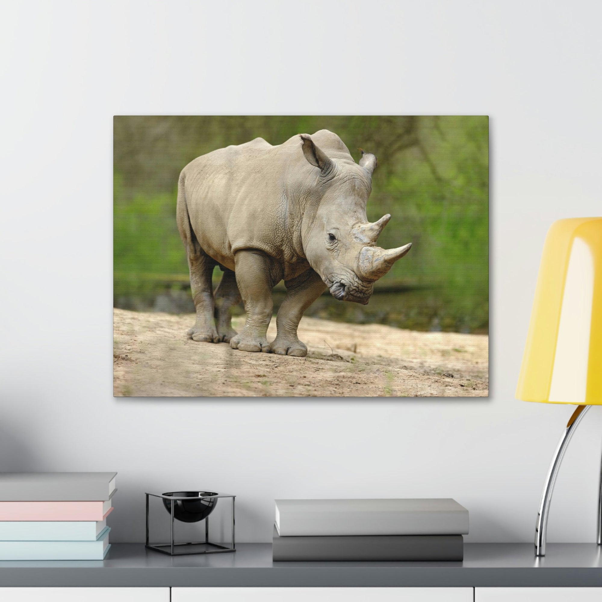 Funny White Rhino Silly White Rhino Scene Outside Wall Art Ready to Hang Unframed-Express Your Love Gifts