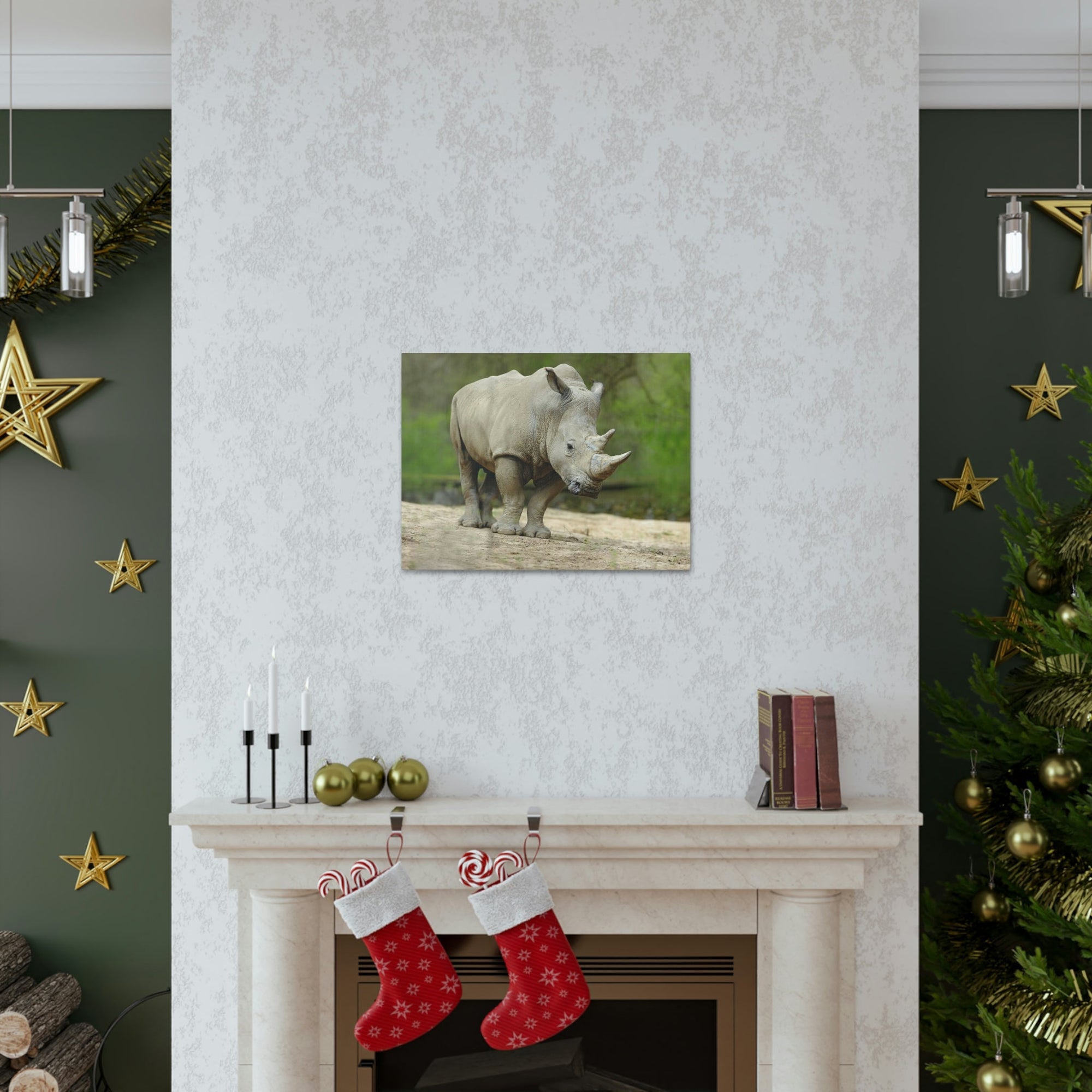 Funny White Rhino Silly White Rhino Scene Outside Wall Art Ready to Hang Unframed-Express Your Love Gifts