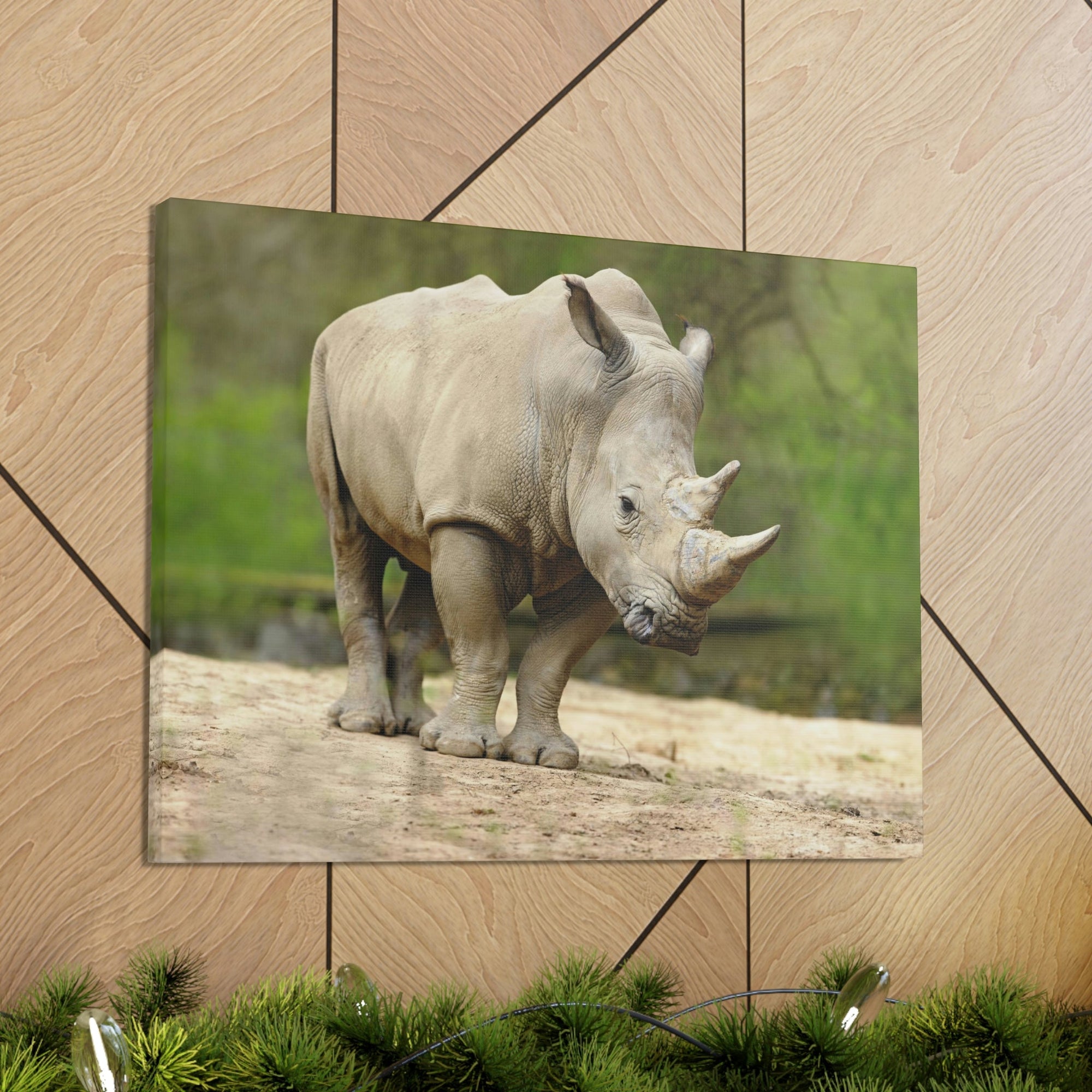 Funny White Rhino Silly White Rhino Scene Outside Wall Art Ready to Hang Unframed-Express Your Love Gifts