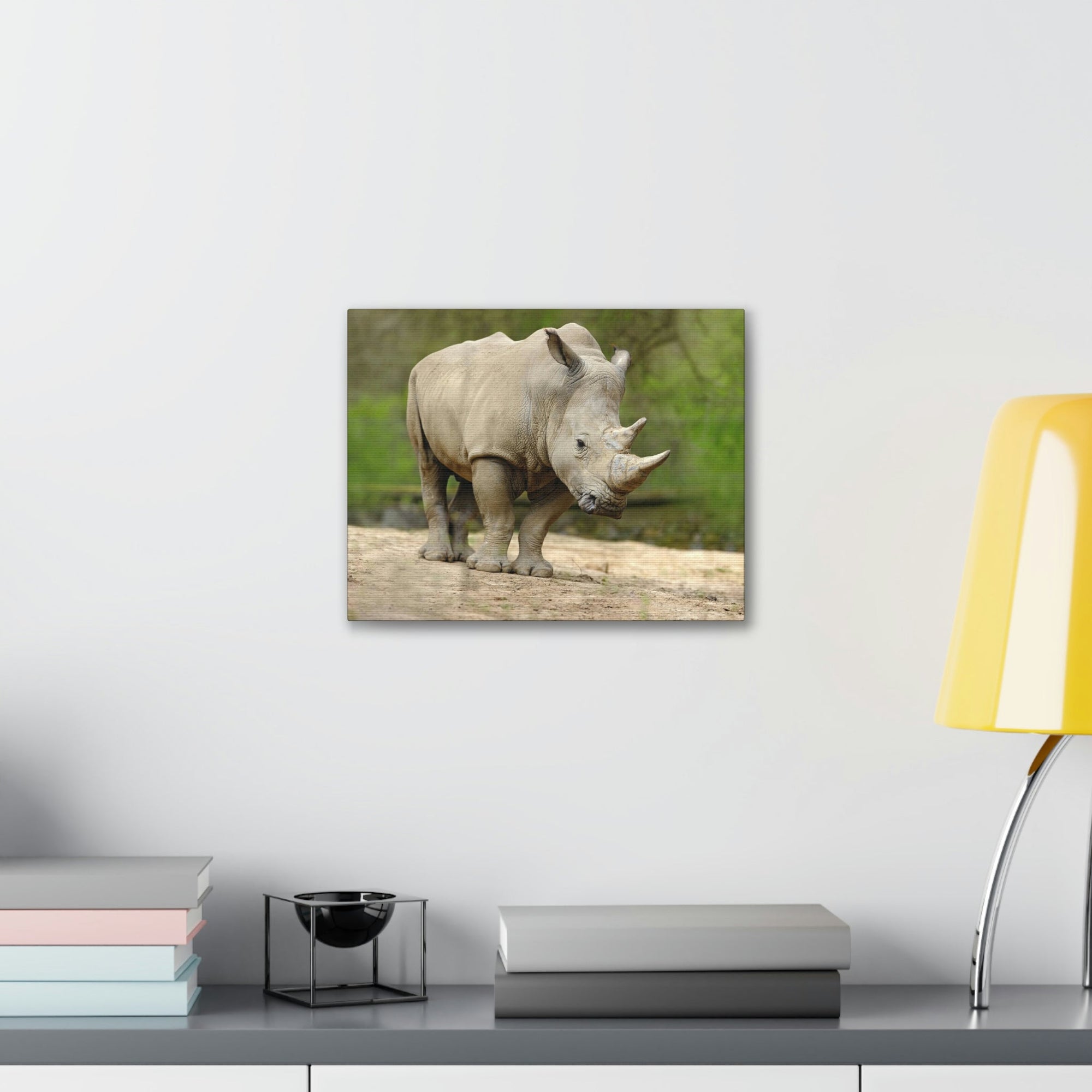 Funny White Rhino Silly White Rhino Scene Outside Wall Art Ready to Hang Unframed-Express Your Love Gifts