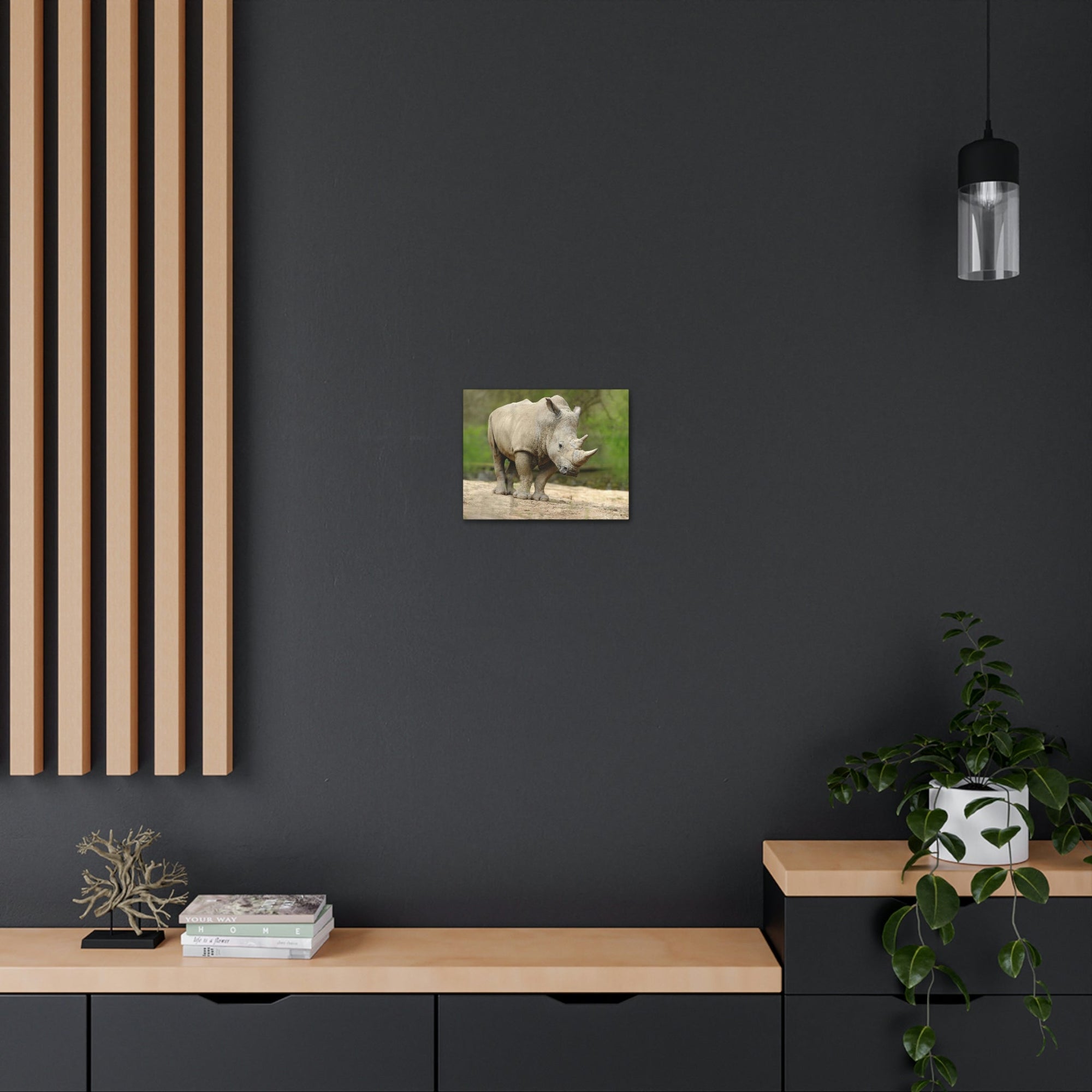 Funny White Rhino Silly White Rhino Scene Outside Wall Art Ready to Hang Unframed-Express Your Love Gifts