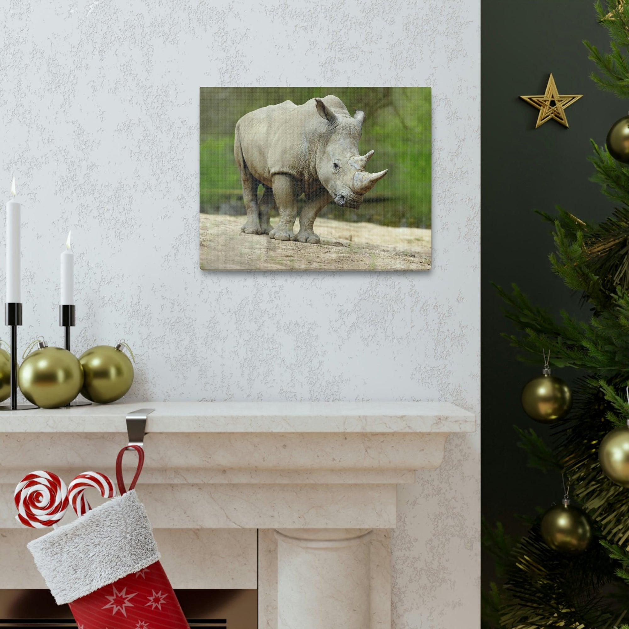 Funny White Rhino Silly White Rhino Scene Outside Wall Art Ready to Hang Unframed-Express Your Love Gifts