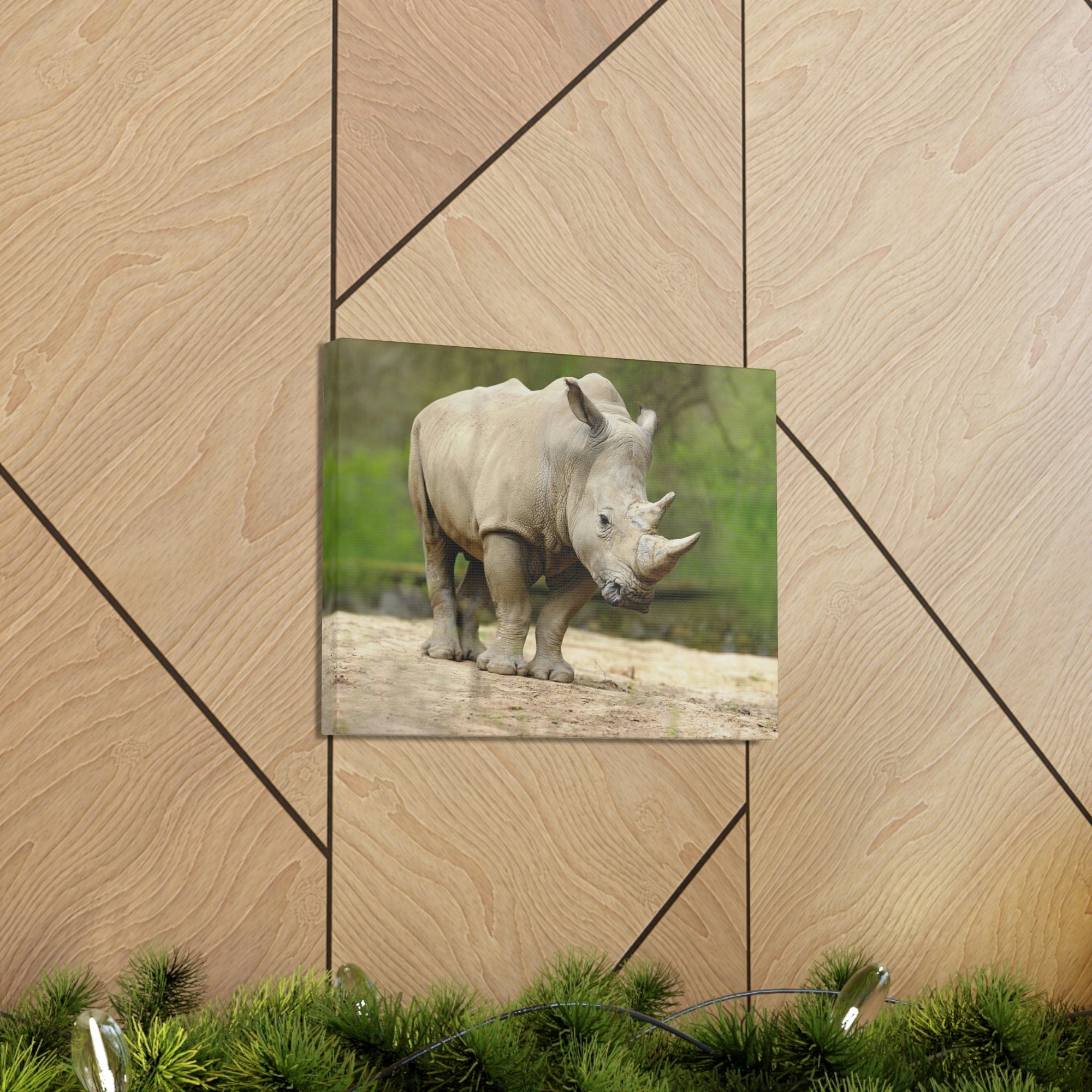 Funny White Rhino Silly White Rhino Scene Outside Wall Art Ready to Hang Unframed-Express Your Love Gifts