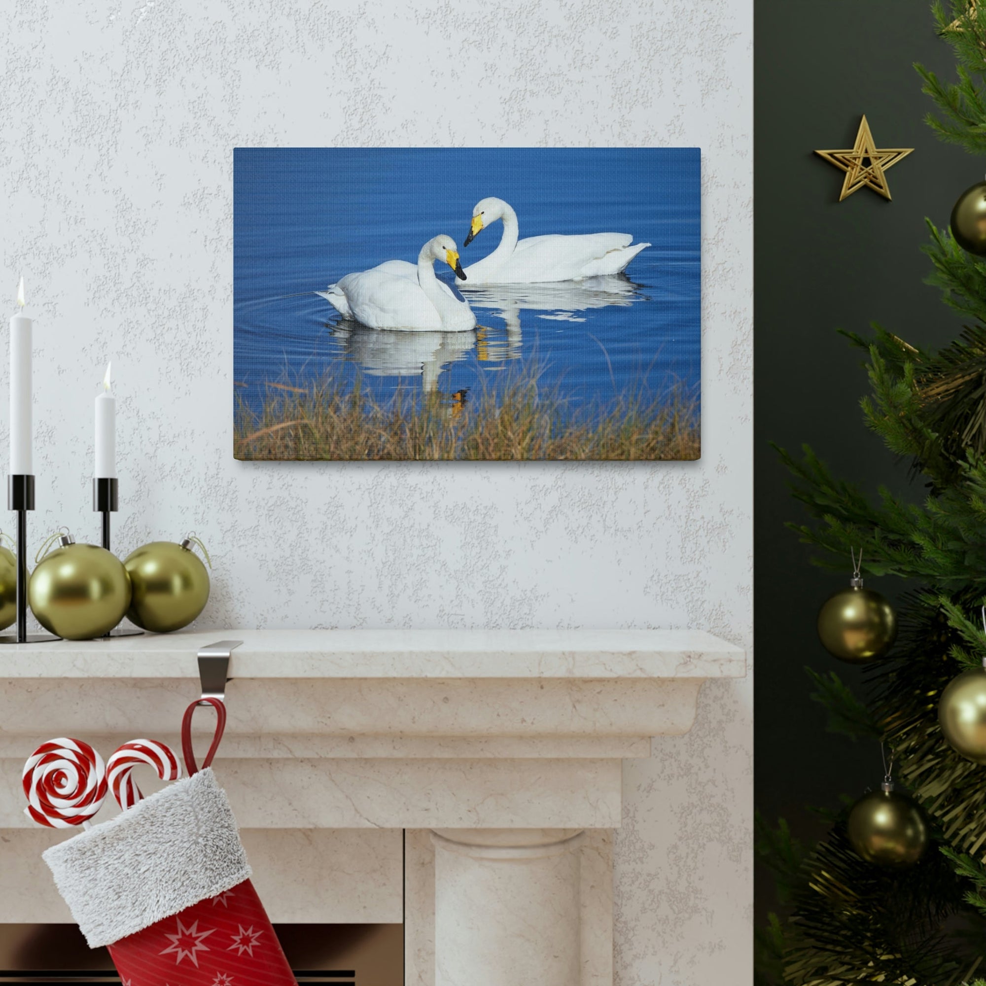 Funny Whooper Silly Whooper Scene Couple Wall Art Ready to Hang Unframed-Express Your Love Gifts