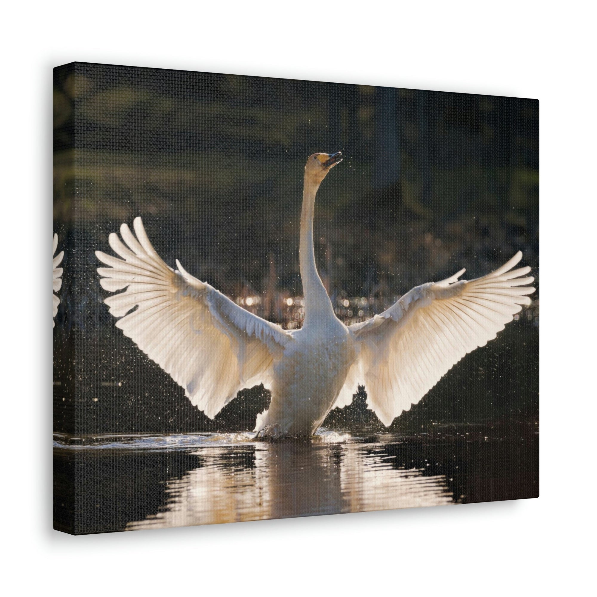 Funny Whooper Silly Whooper Scene Outside Wall Art Ready to Hang Unframed-Express Your Love Gifts