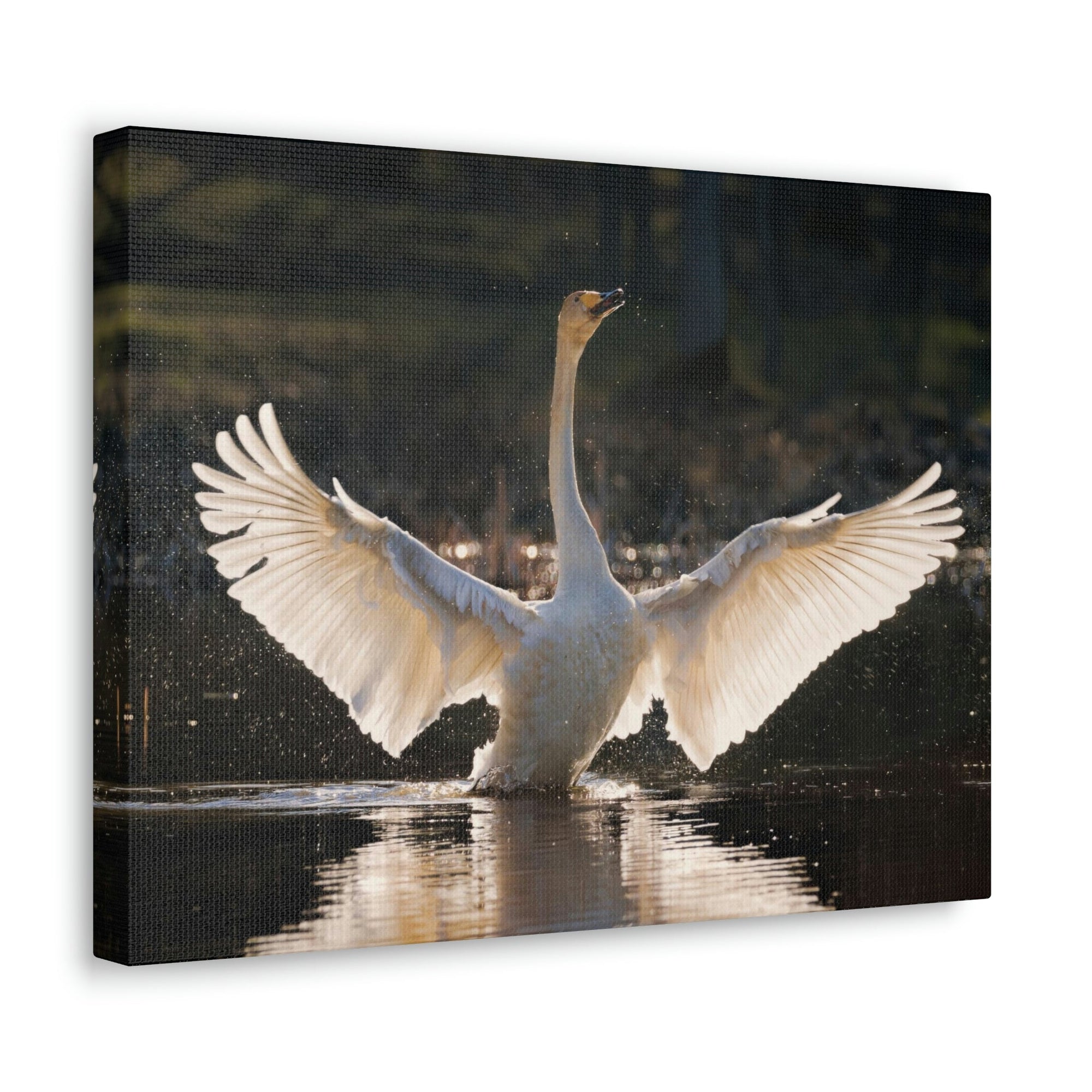 Funny Whooper Silly Whooper Scene Outside Wall Art Ready to Hang Unframed-Express Your Love Gifts