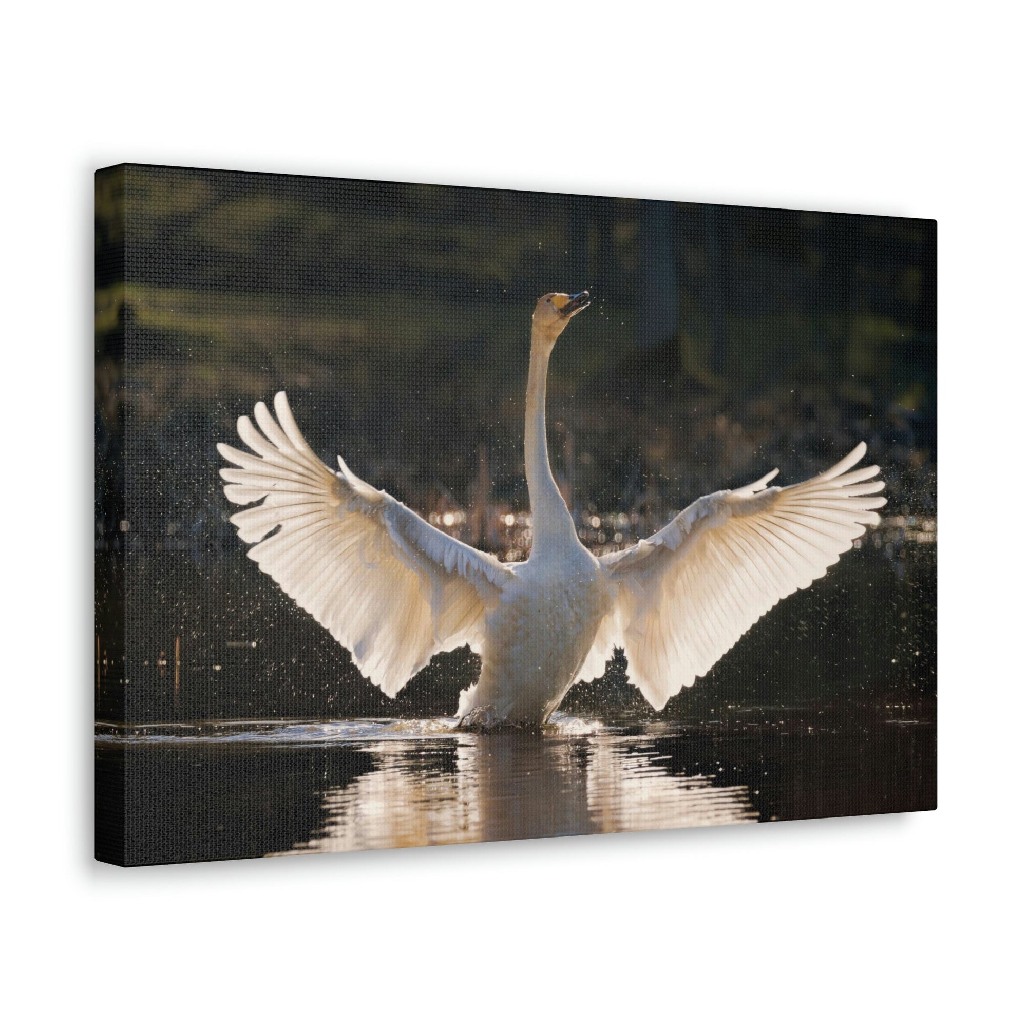 Funny Whooper Silly Whooper Scene Outside Wall Art Ready to Hang Unframed-Express Your Love Gifts