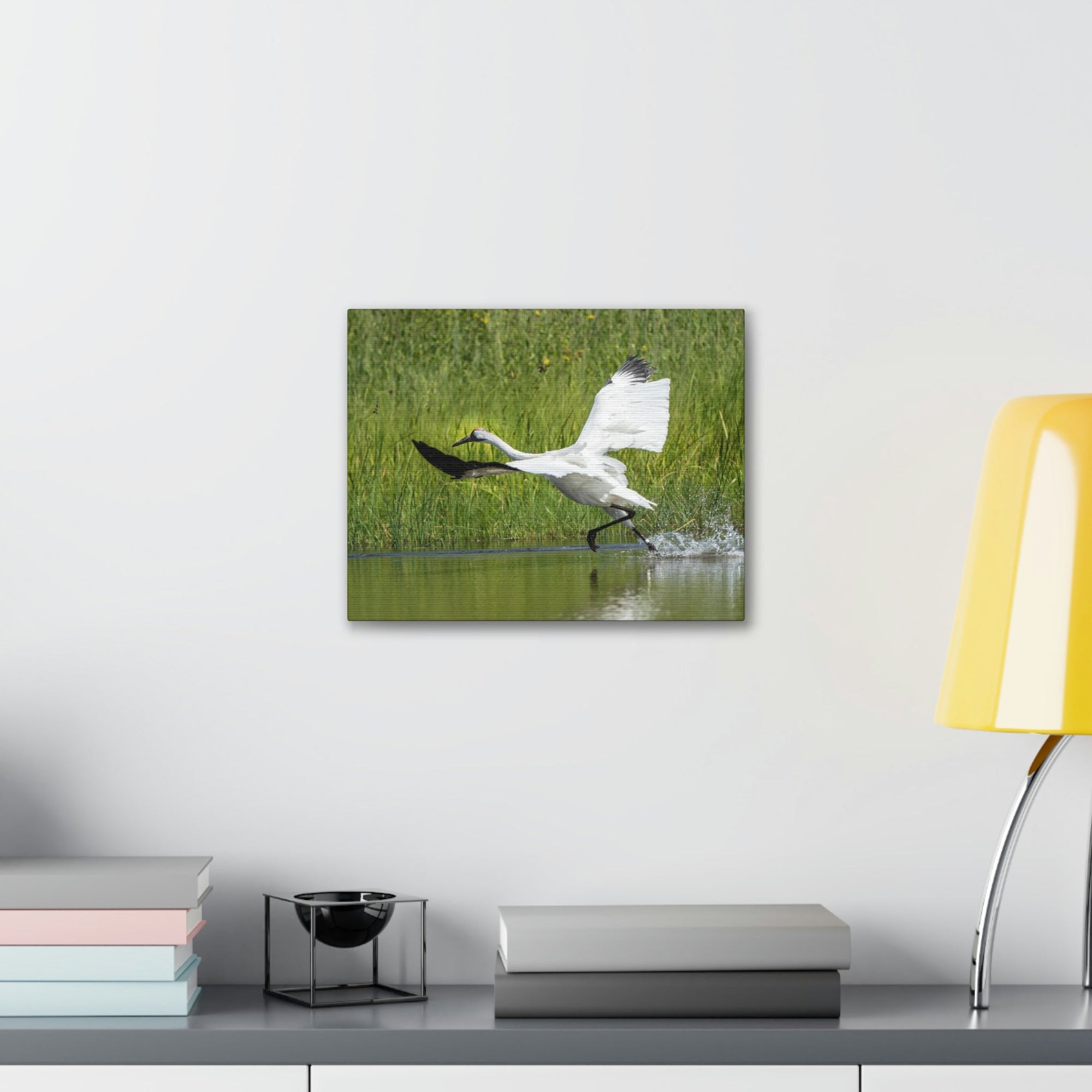 Funny Whooping Crane Silly Whooping Crane Scene Outside Wall Art Ready to Hang Unframed-Express Your Love Gifts